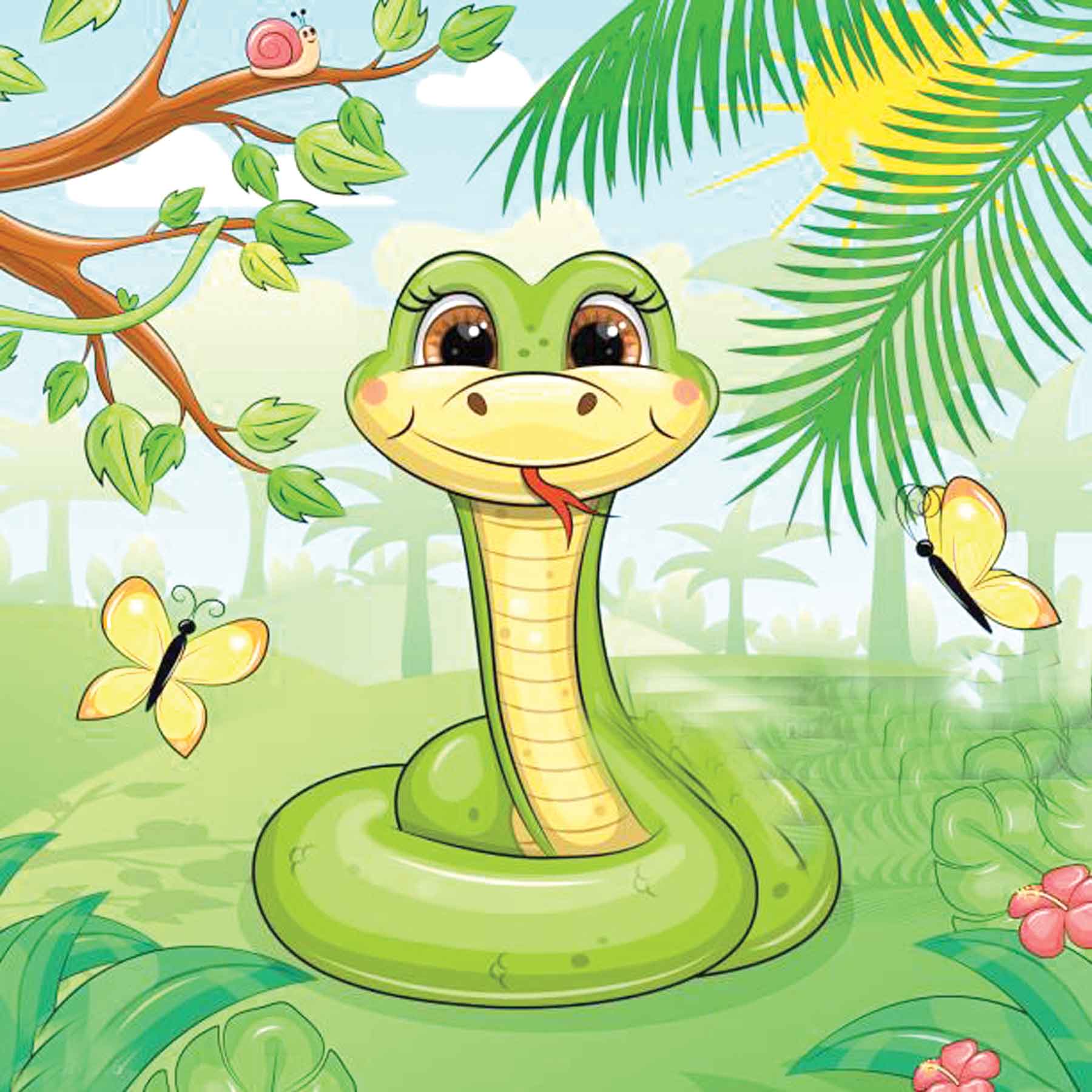 খোলস