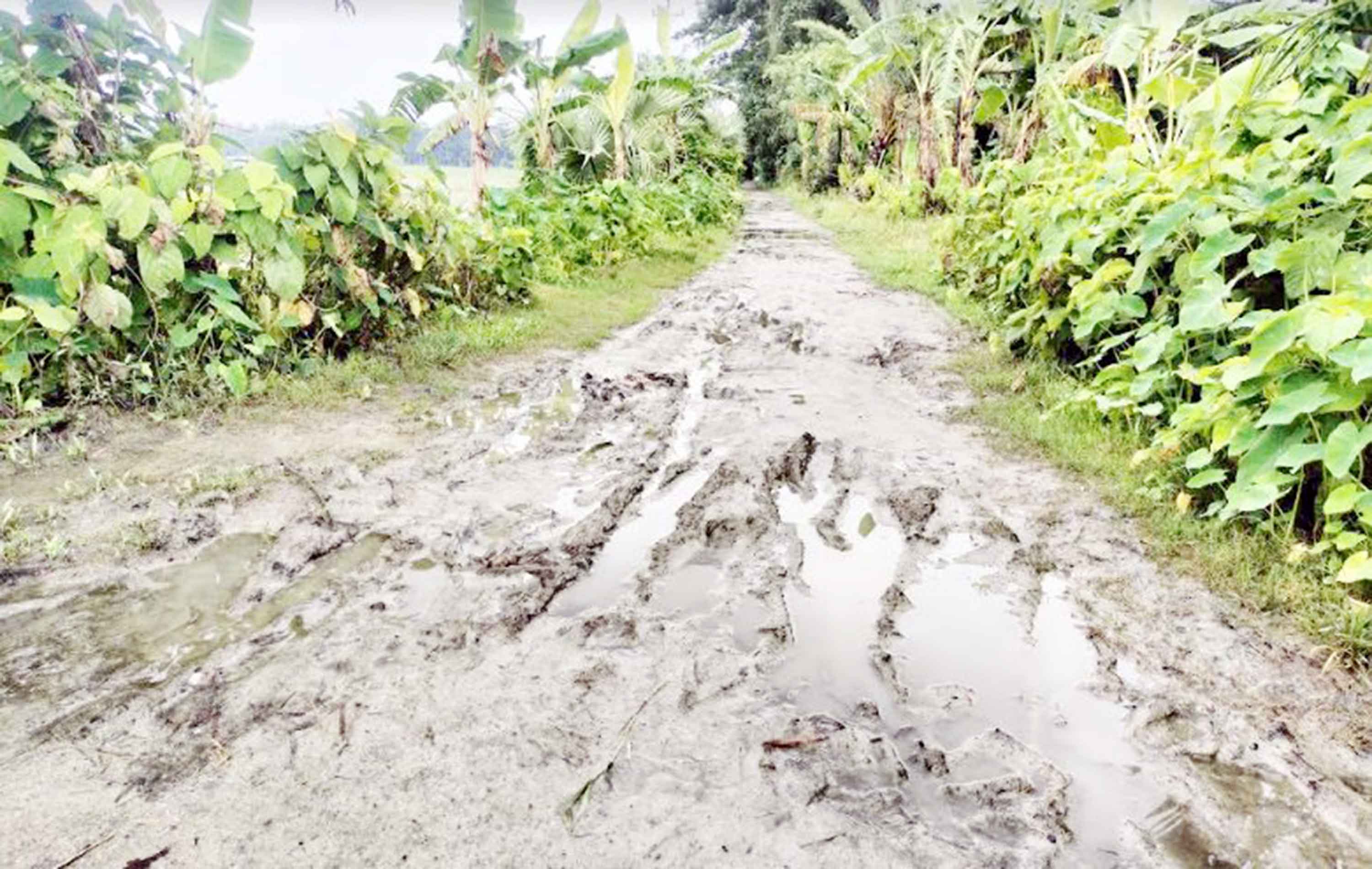 লালমোহনে ৫৫৫ কিলোমিটার সড়ক কাঁচা, চলাচলে দুর্ভোগ