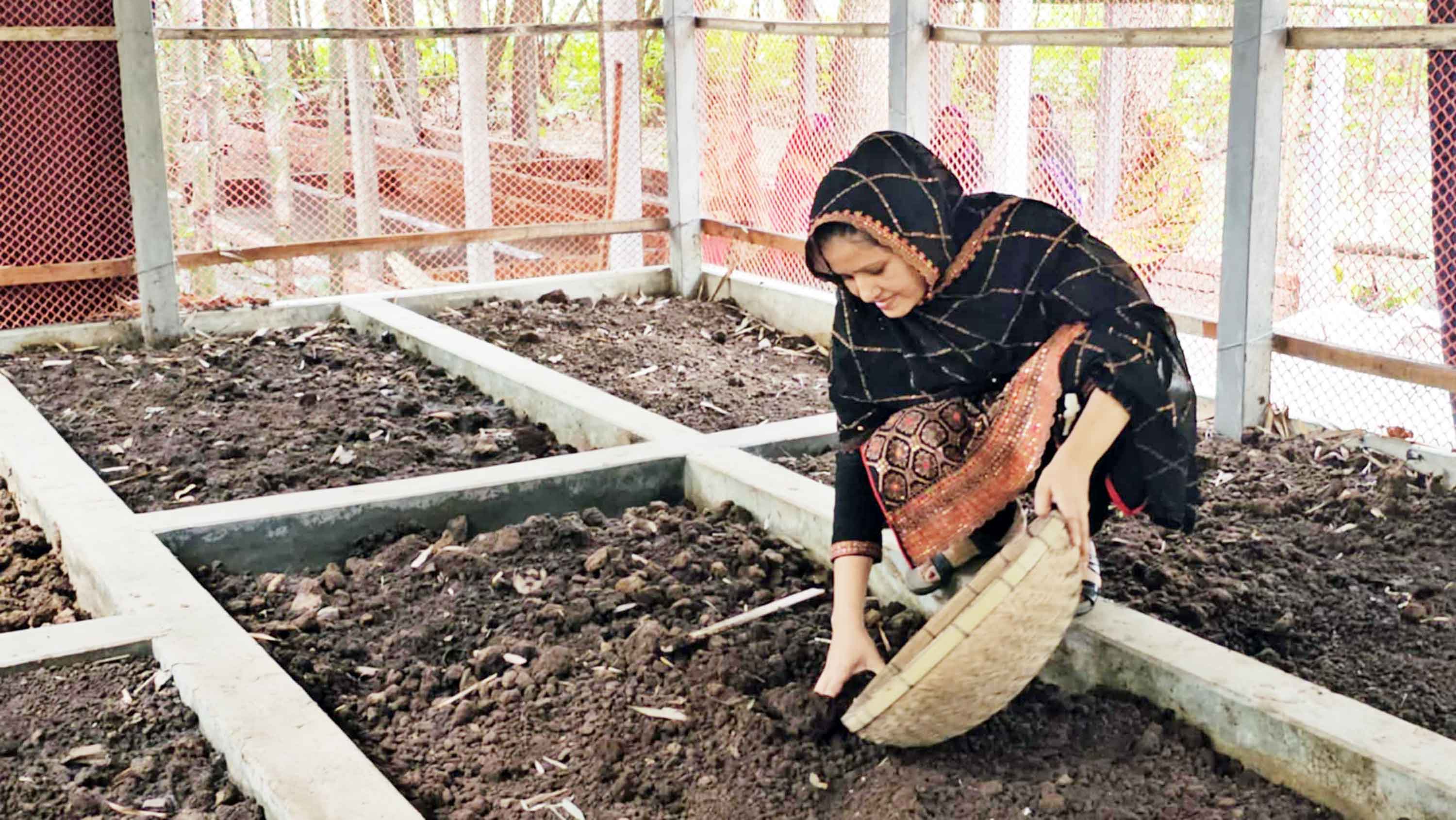 গোয়ালন্দে কেঁচো সার উৎপাদনে ভাগ্যবদল