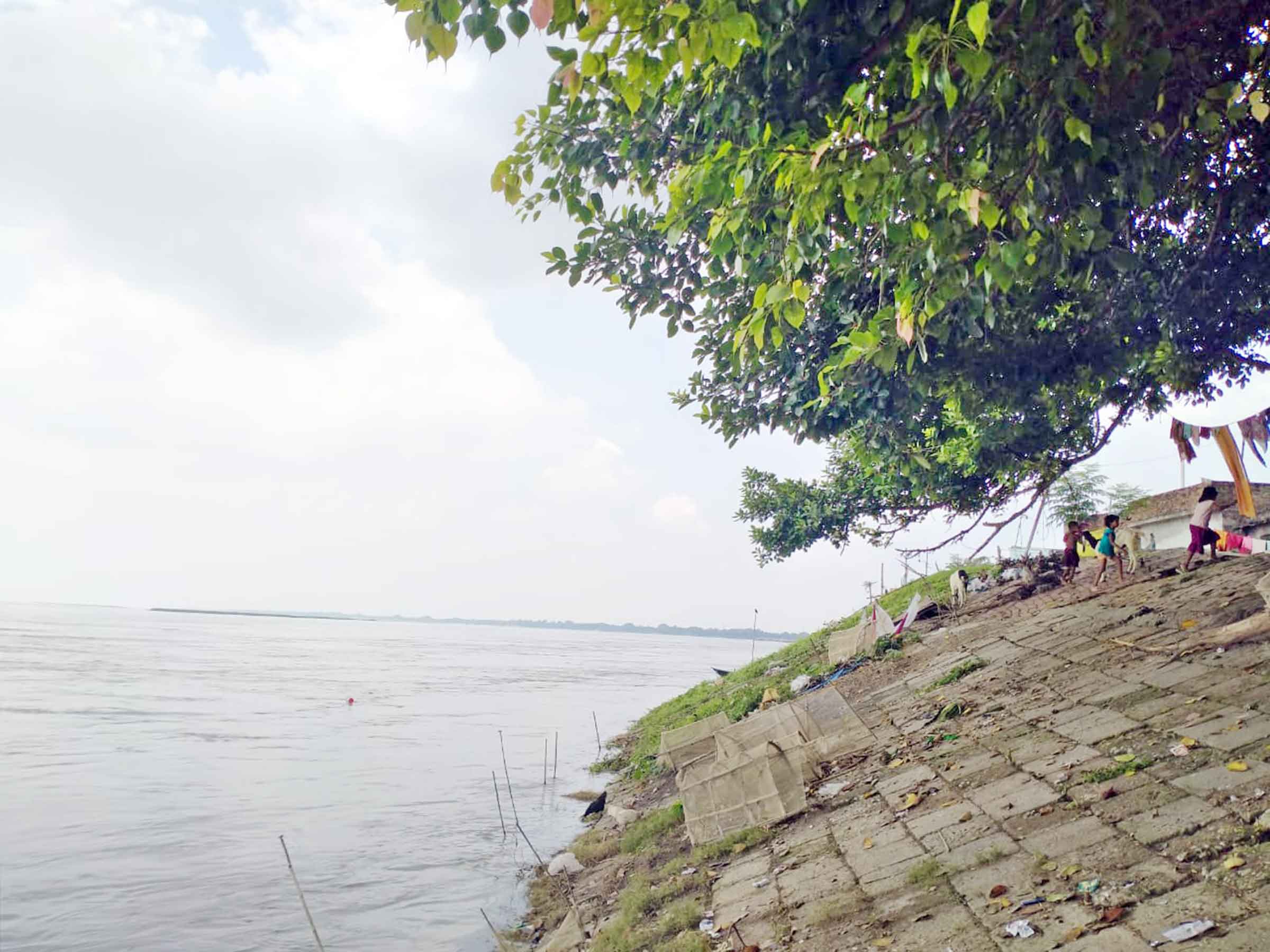 কমতে শুরু করেছে পদ্মা নদীর পানি