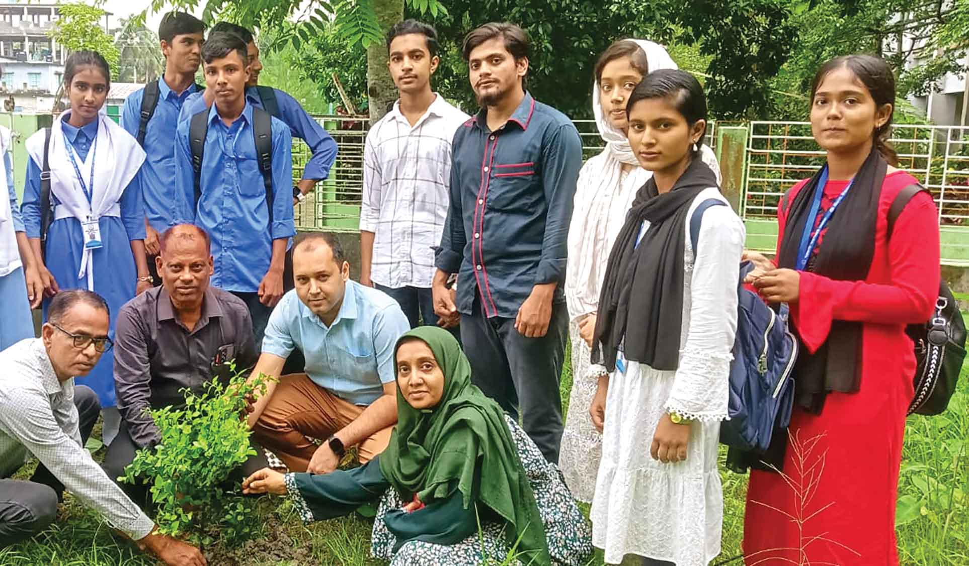 নেছারাবাদে চারা রোপণ কর্মসূচি