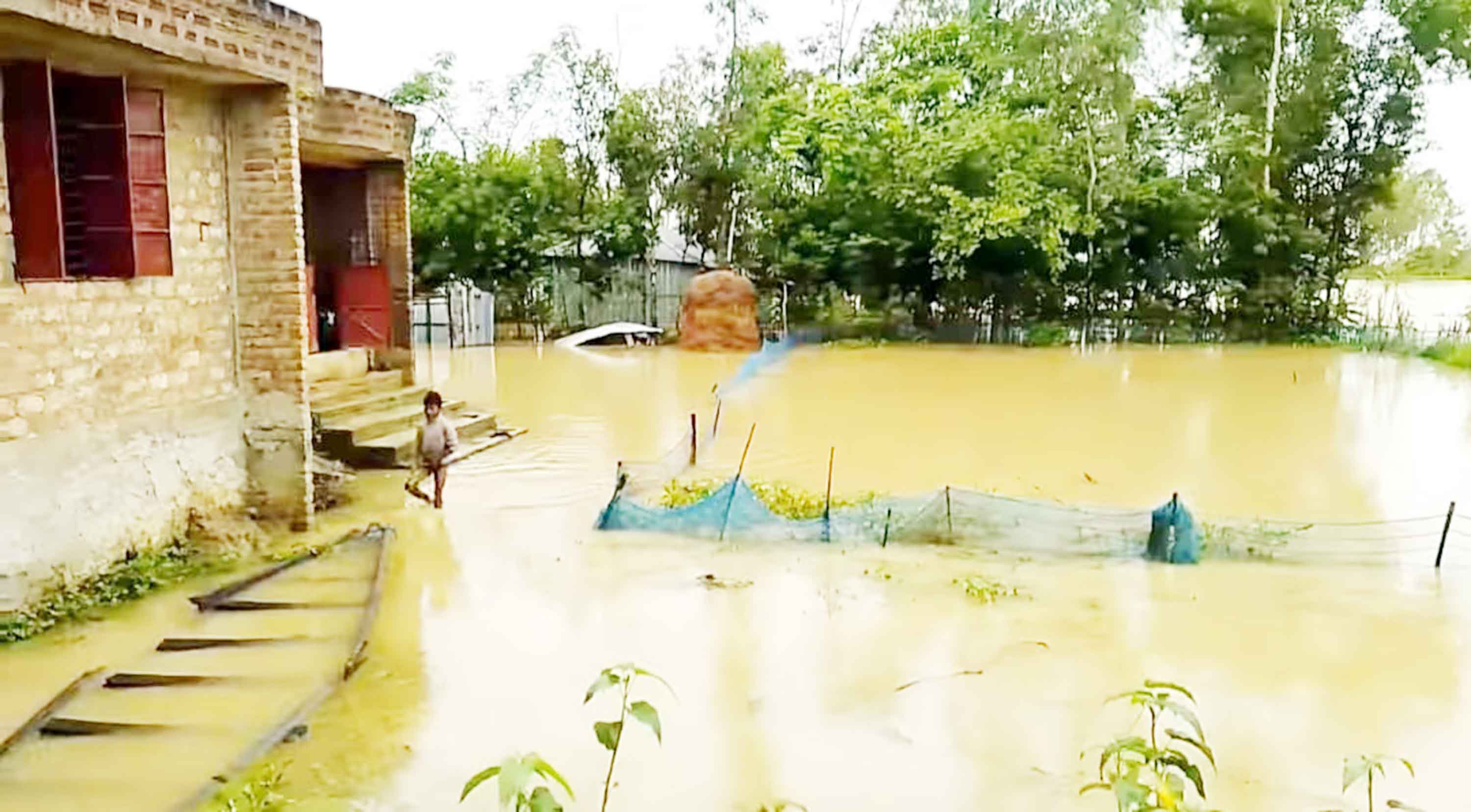 শ্রীমঙ্গলে বন্যার পানিতে তলিয়ে গেছে আমন ক্ষেত
