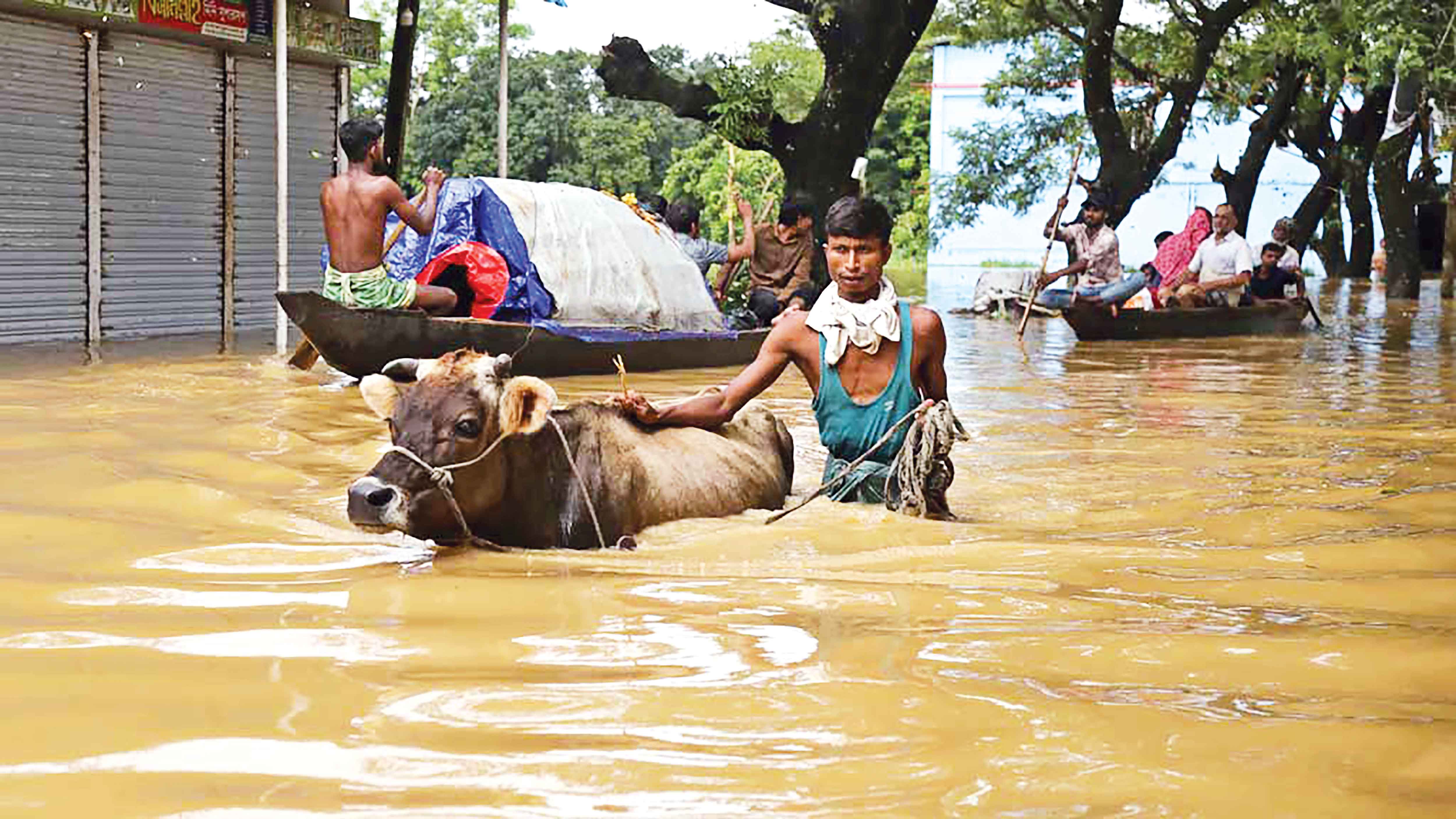 কমছে পানি, বাড়ছে দুর্ভোগ