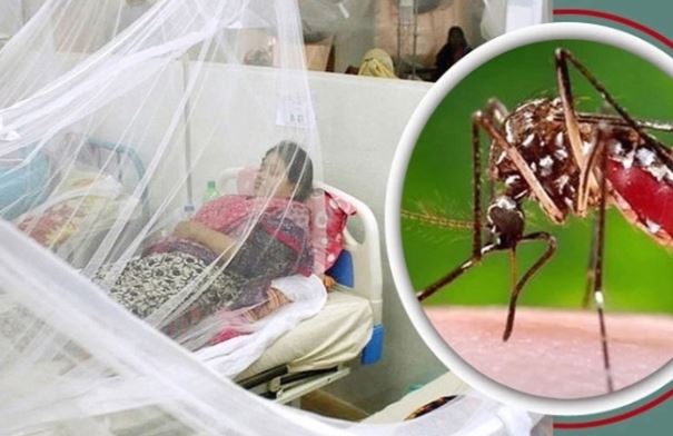 গত ২৪ ঘন্টায় ডেঙ্গুতে আরও একজনের মৃত্যু, আক্রান্ত ৩১৯ জন