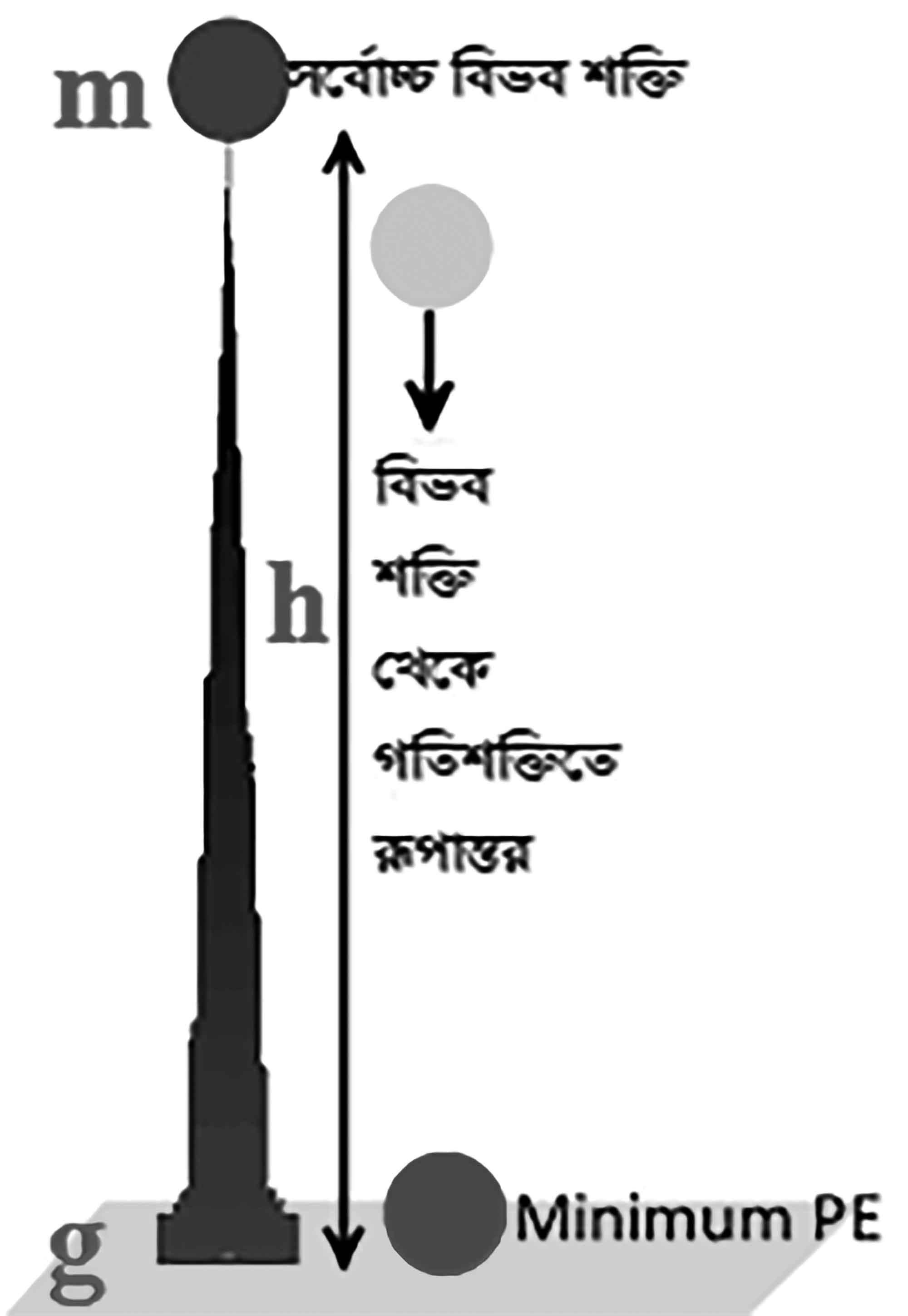 অষ্টম শ্রেণির বিজ্ঞান অনুসন্ধানী পাঠ