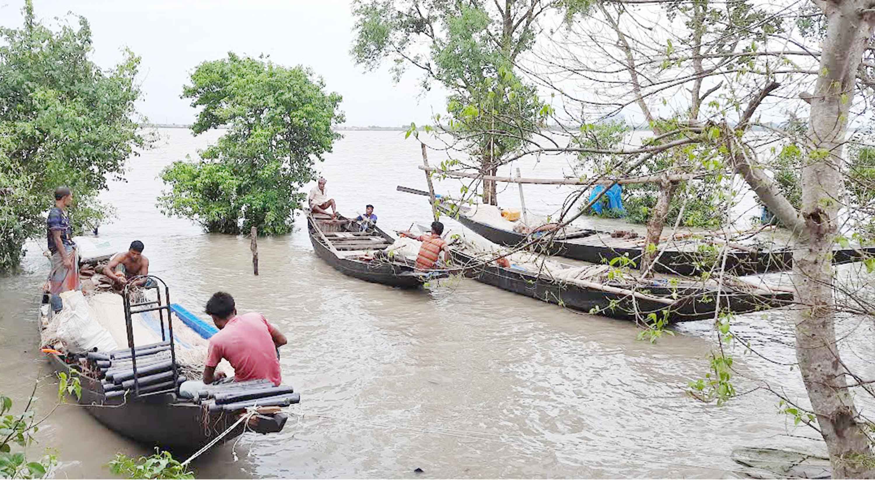 নদীতে দেখা মিলছে না ইলিশের হাজারো জেলে পরিবার হতাশ