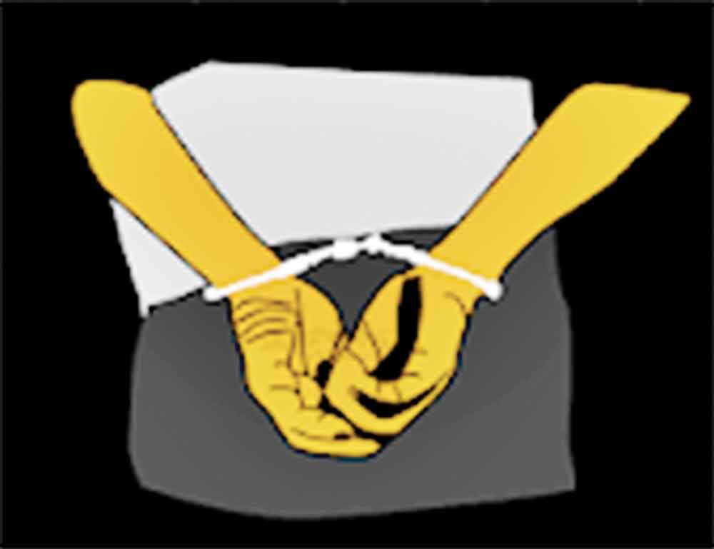 খানসামায় তিন ভুয়া ডিবি পুলিশ আটক