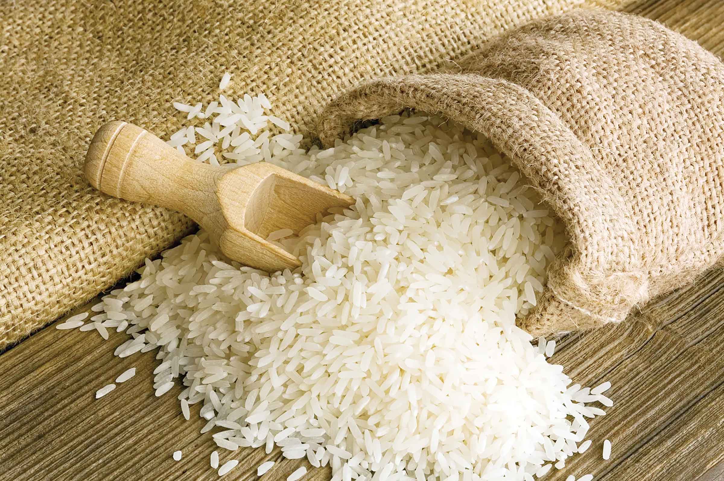 চলতি বছর রেকর্ড চাল উৎপাদনের পূর্বাভাস