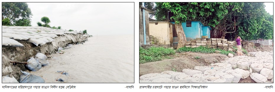 পদ্মার তীব্র স্রোতে বিলীন হচ্ছে জনপদ
