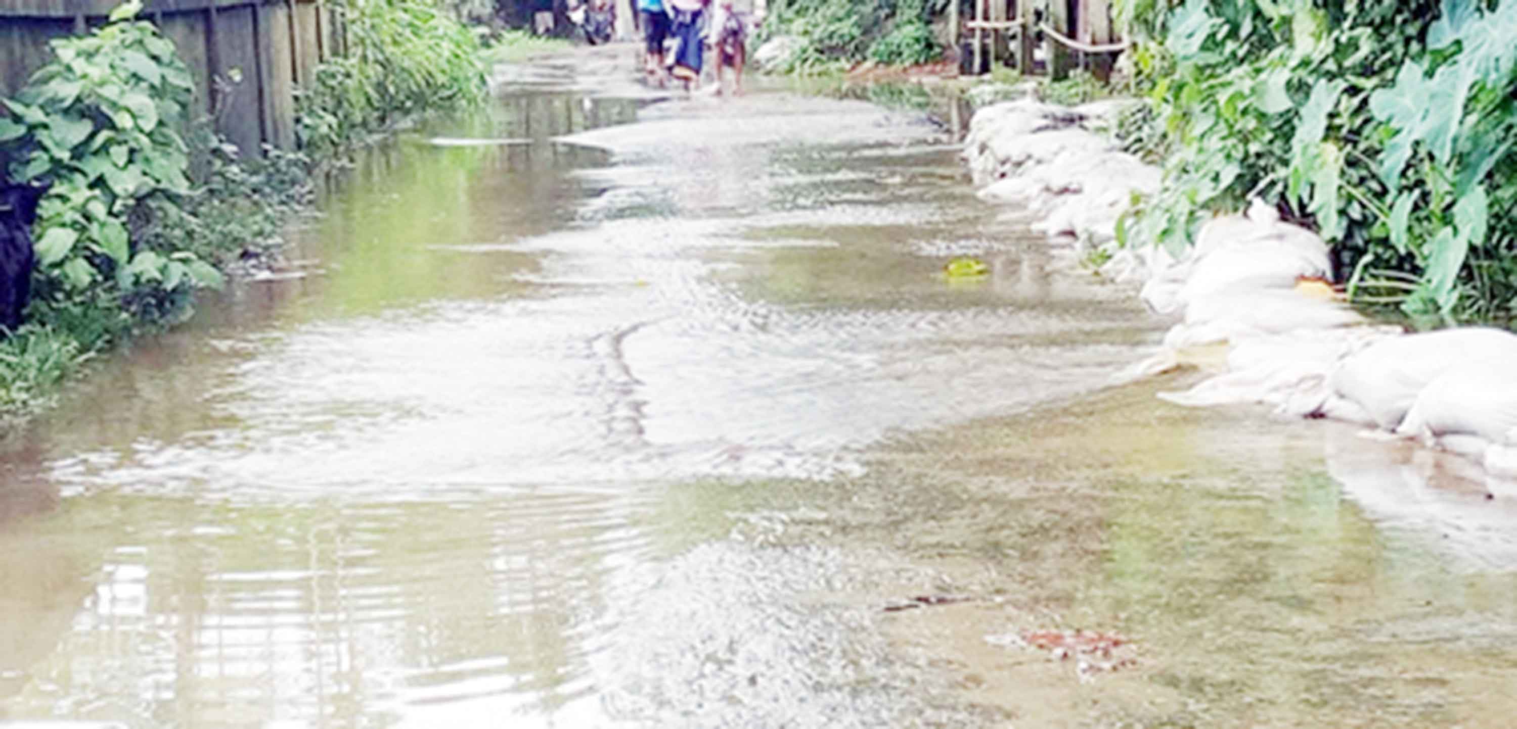 পানি বেড়ে ঝুঁকির মুখে ৫৭৩ কোটি টাকার কুশিয়ারা নদীর তীর প্রতিরক্ষা প্রকল্প