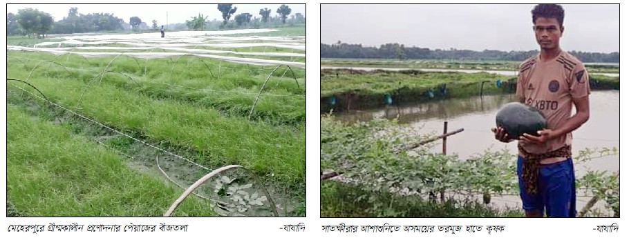 গ্রীষ্মকালীন পেঁয়াজ ও অসময়ের তরমুজ চাষে কৃষকের সফলতা