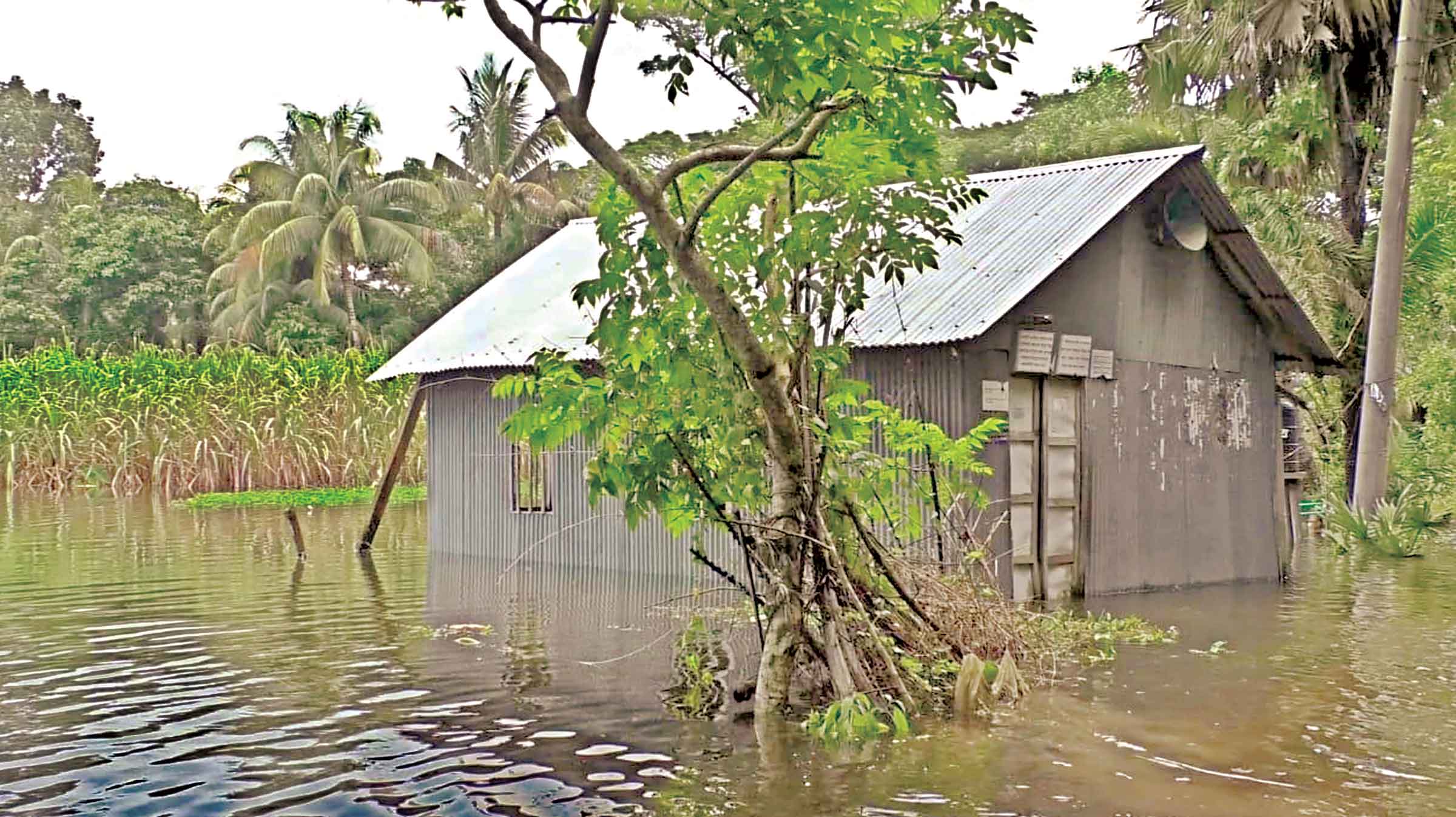 বন্যাকবলিত এলাকায় মৃতু্য বেড়ে ৫৯ জন