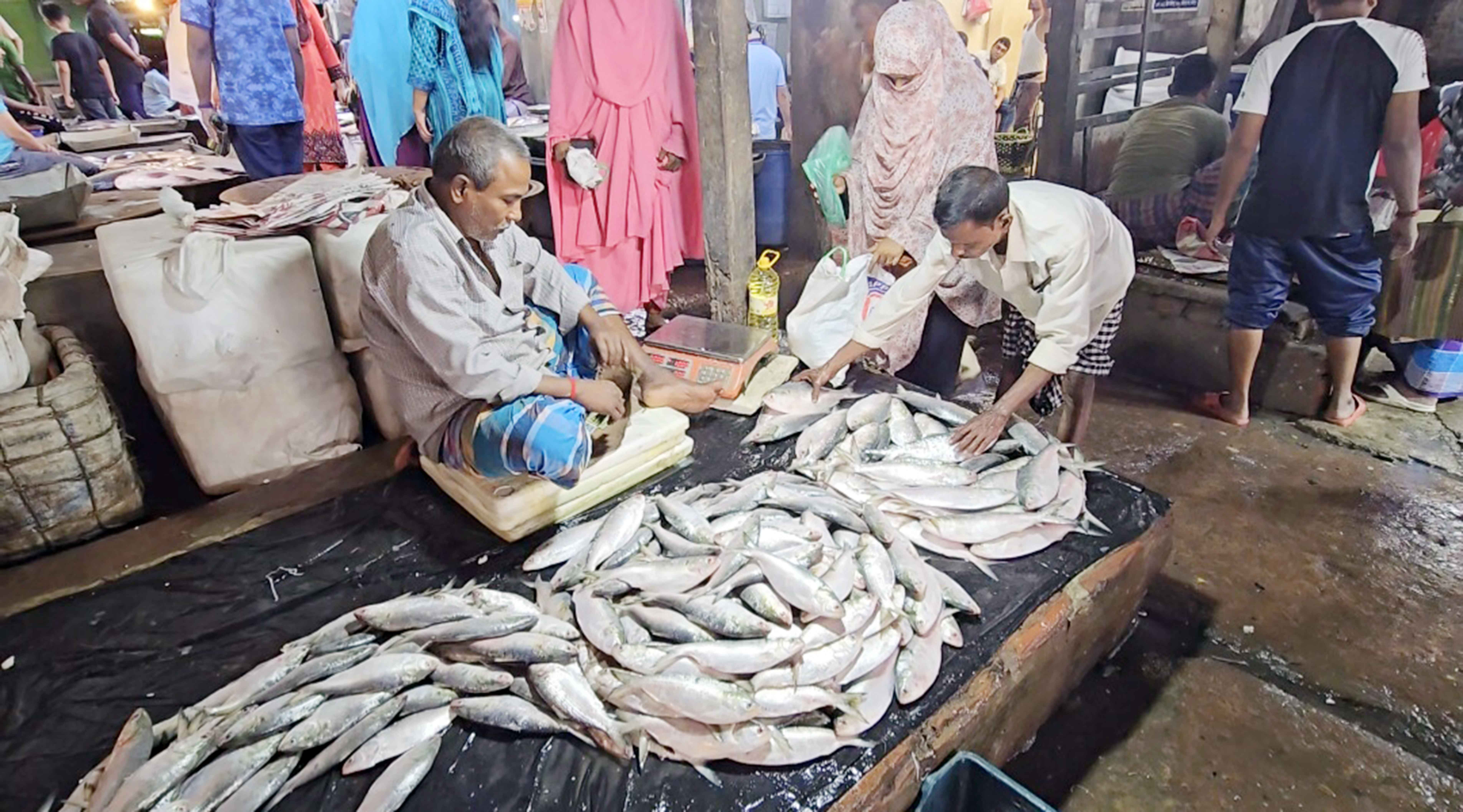 ফরিদপুরে সিন্ডিকেটের কবলে ইলিশ বাড়ছে দর, ভোক্তাদের ক্ষোভ