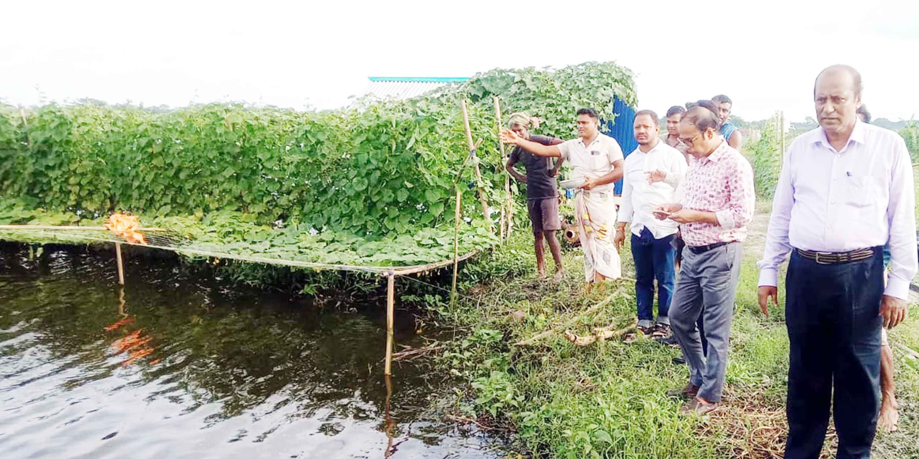 ফকিরহাটে মাছের ঘেরের আইলে সবজি চাষে কৃষকরা স্বাবলম্বী