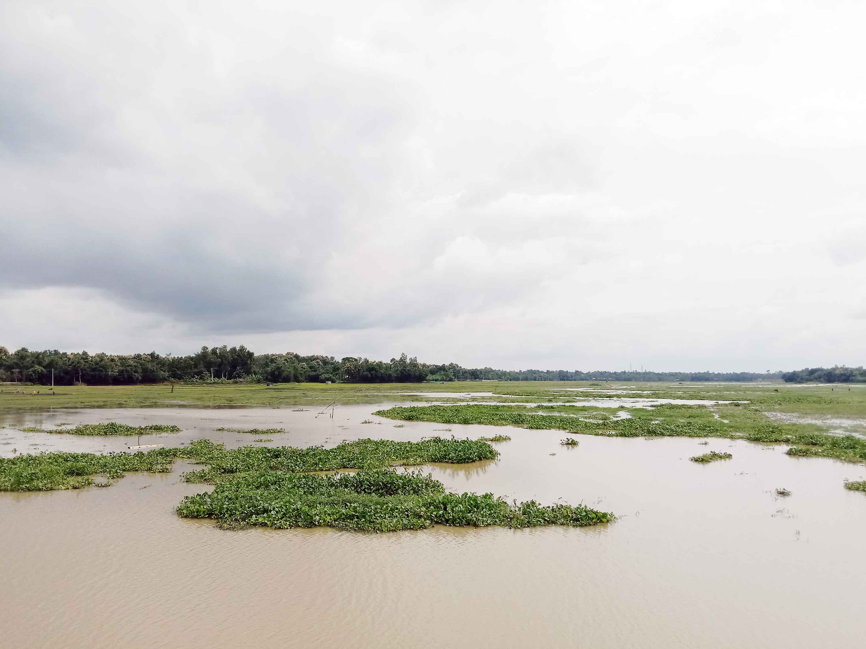 ঐতিহ্য হারাচ্ছে মধুপুরের খাল-বিল