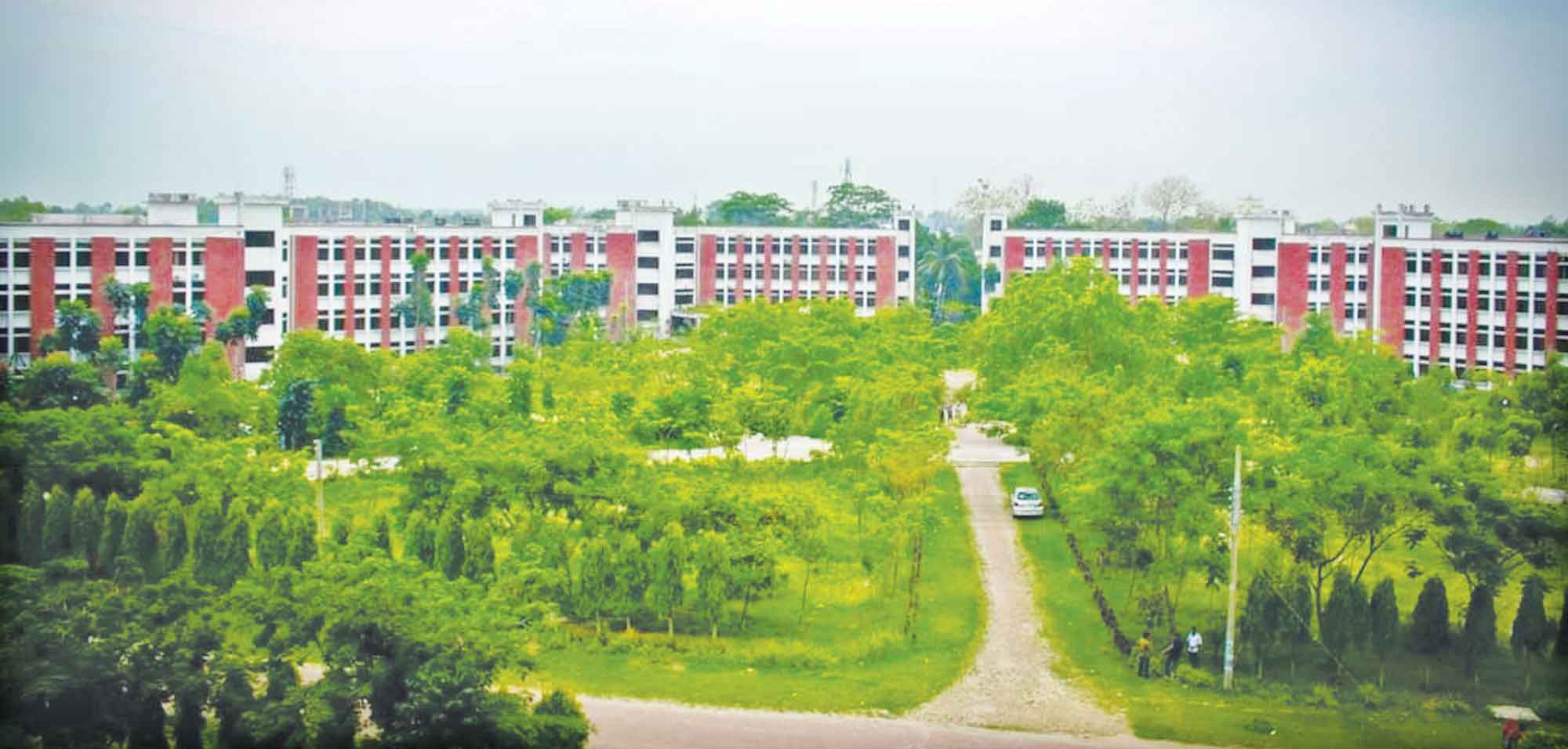 সবুজের মায়ায় জড়ানো বেগম রোকেয়া বিশ্ববিদ্যালয়