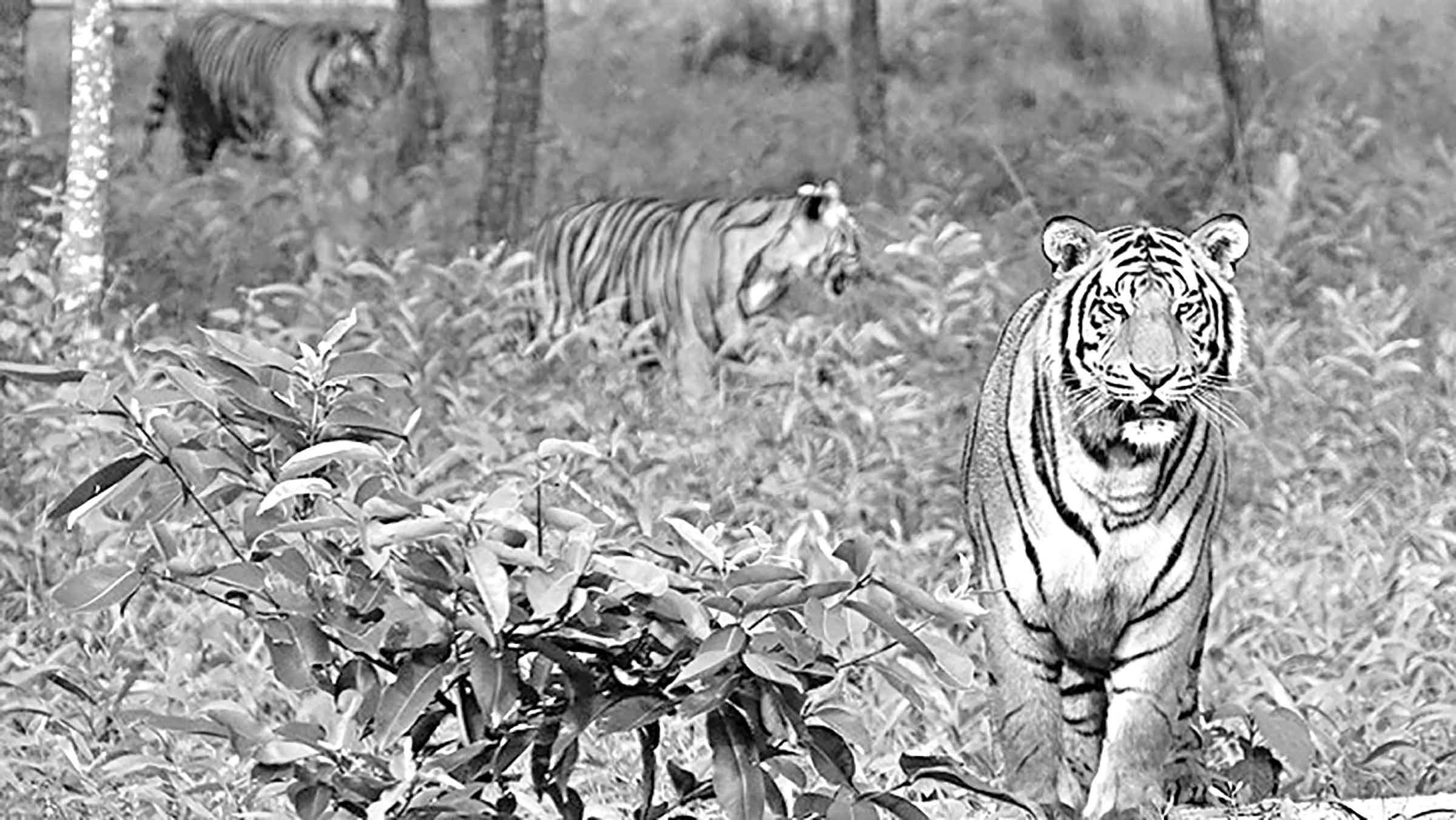 দশম শ্রেণির ভূগোল ও পরিবেশ