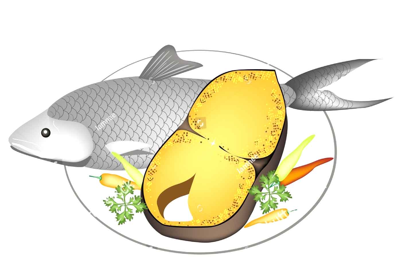 ইলিশ