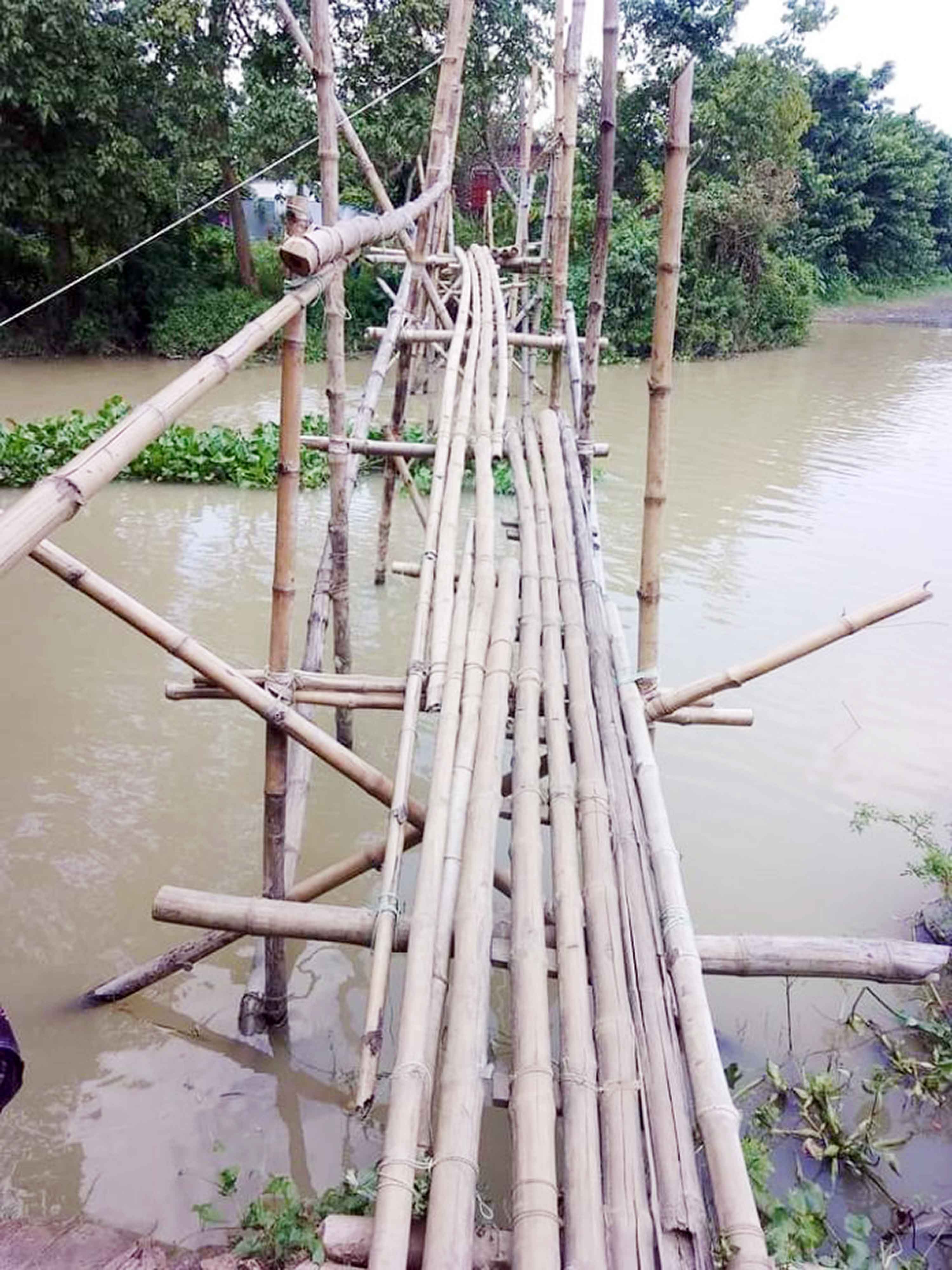 মরে গিয়ে সাজেদা বুঝিয়ে গেলেন ব্রিজটির কত প্রয়োজন ছিল!