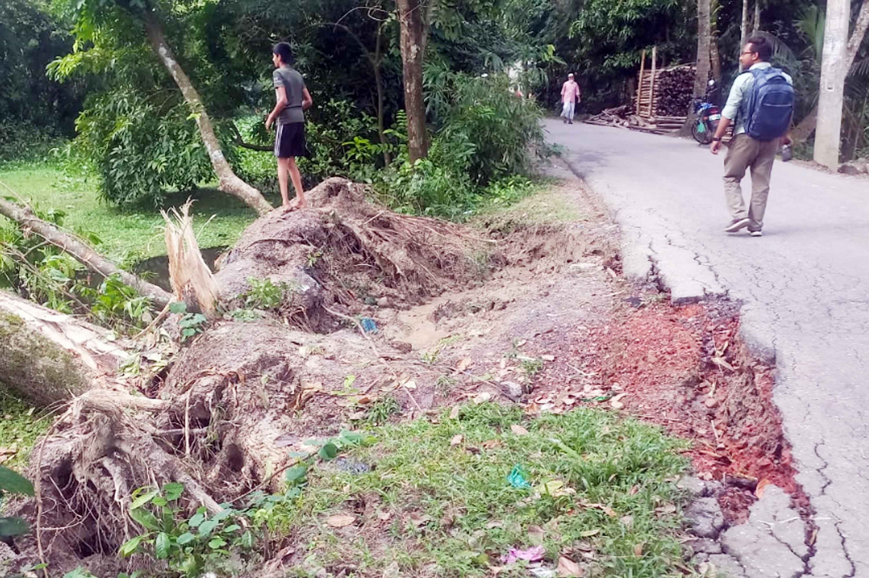 বন্যায় চাঁদপুরে ১৯২ গ্রামীণ সড়ক ও ১২ হাজার হেক্টর ফসলের ক্ষতি