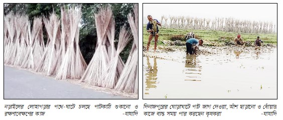 লোহাগড়ায় বেড়েছে পাটকাঠির কদর