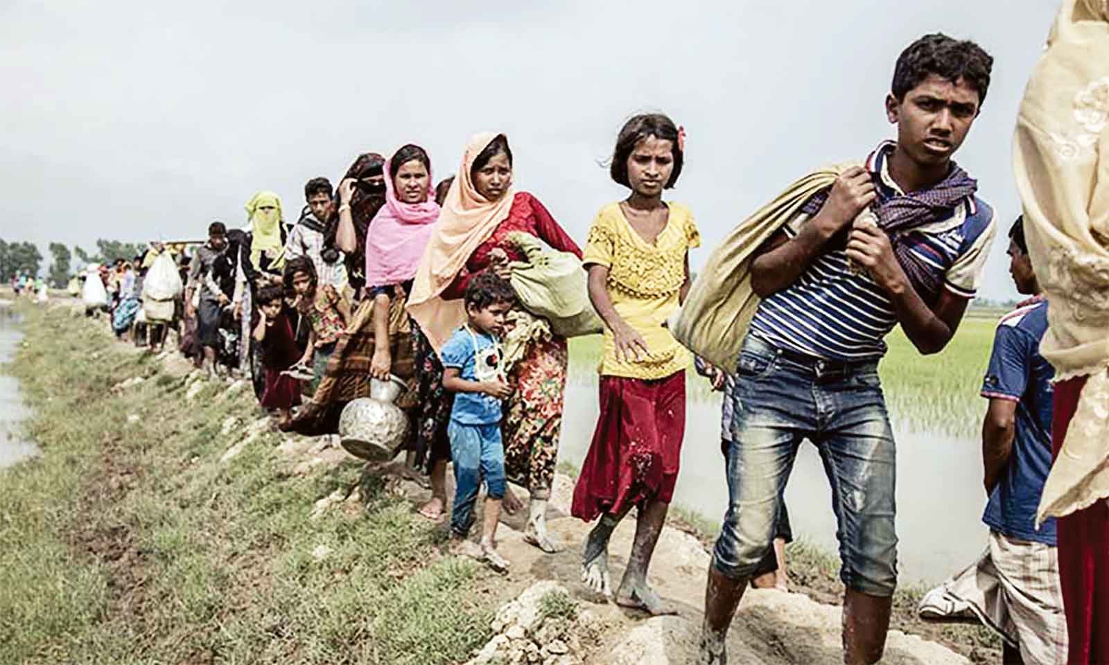 ফের সীমান্তে রোহিঙ্গা ঢেউ