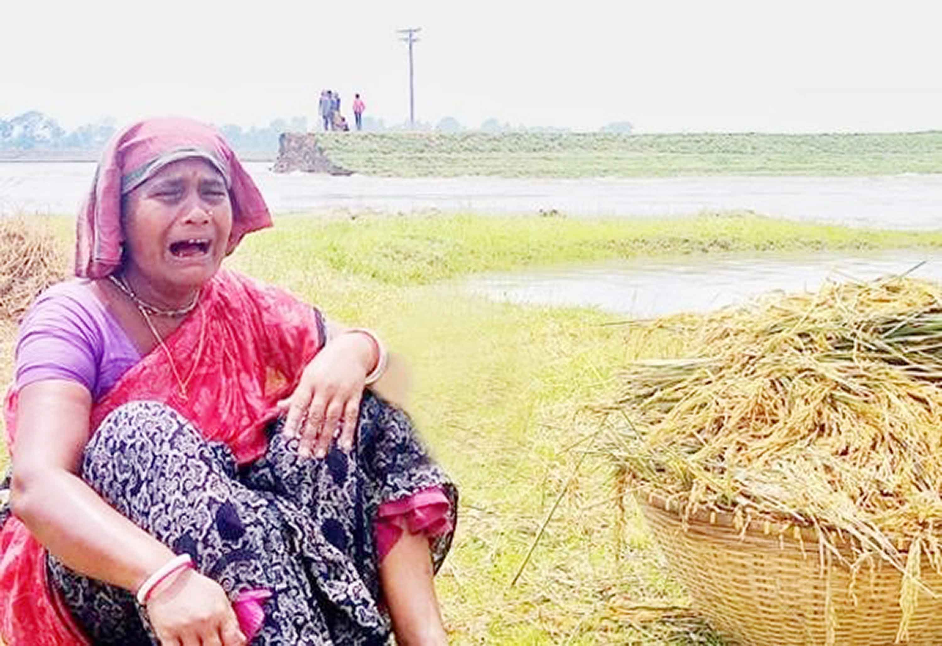 দাগনভূঞায় বন্যায় ১৫ হাজার কৃষক নিঃস্ব