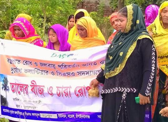 নাচোলে বজ্রপাত রোধে তালগাছের বীজ রোপণ