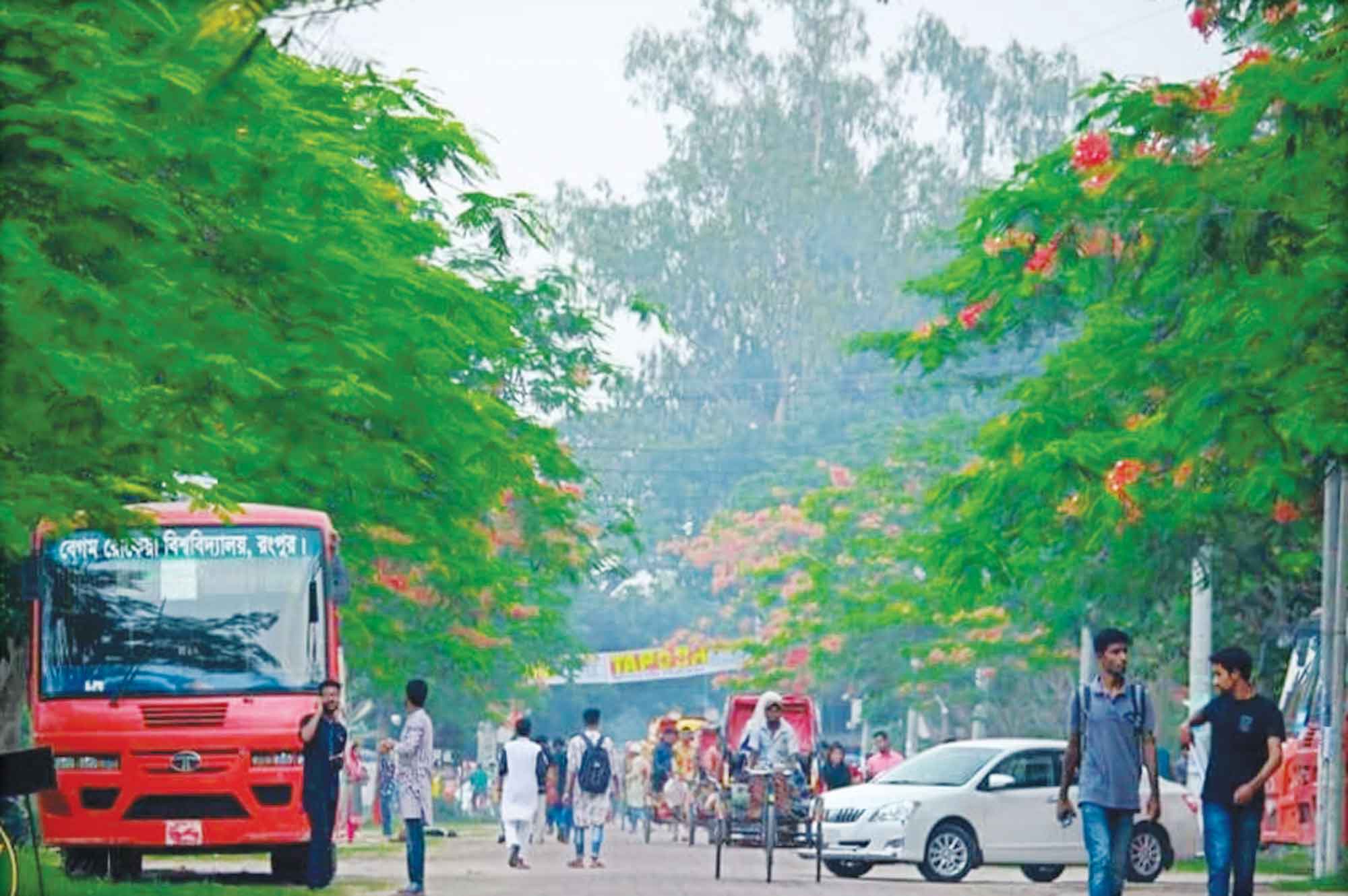 বেগম রোকেয়া বিশ্ববিদ্যালয় যেন বৃক্ষের জাদুঘর