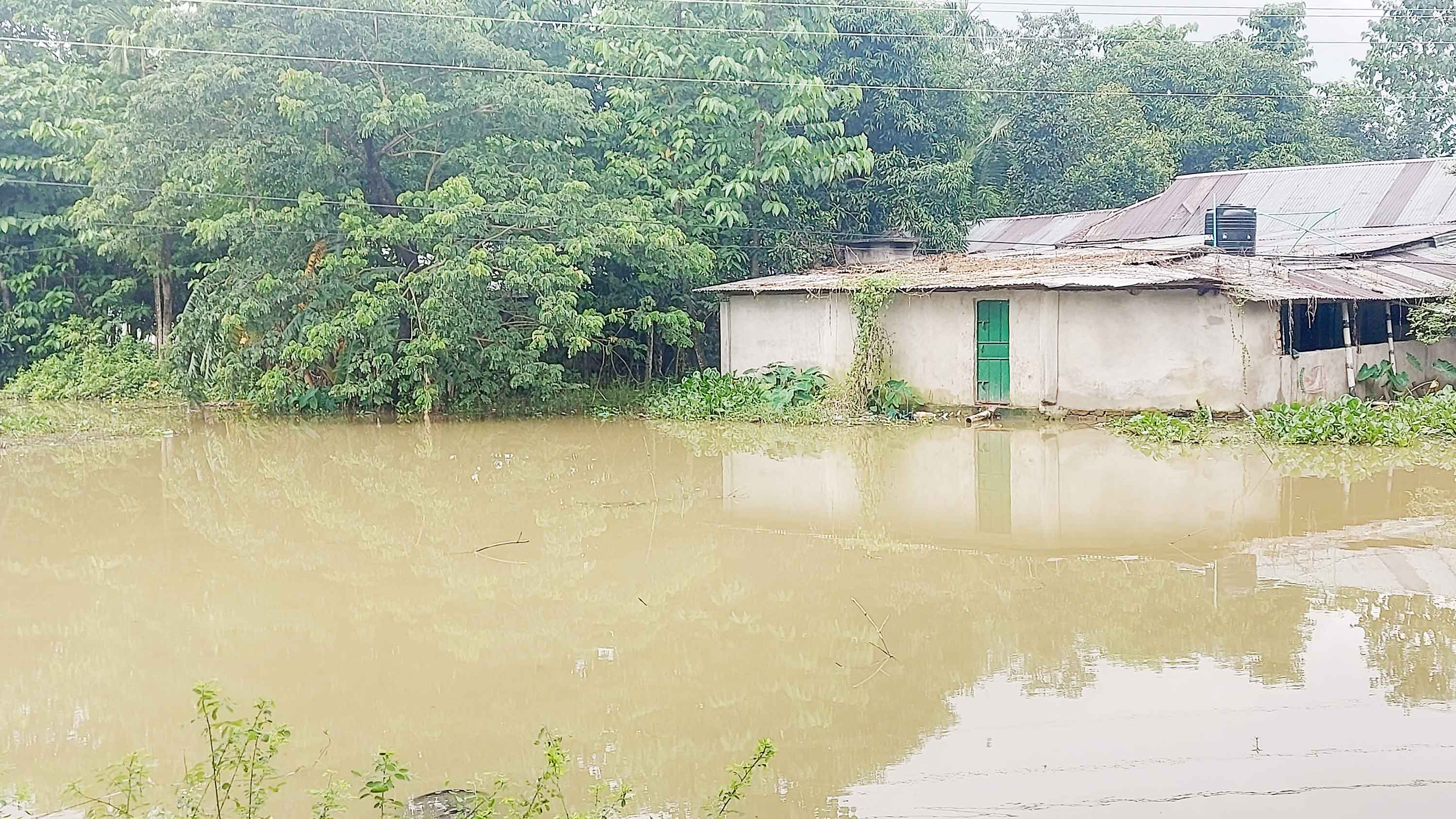 মৌলভীবাজারে দীর্ঘস্থায়ী বন্যা ৫শ' কোটি টাকার ক্ষতি