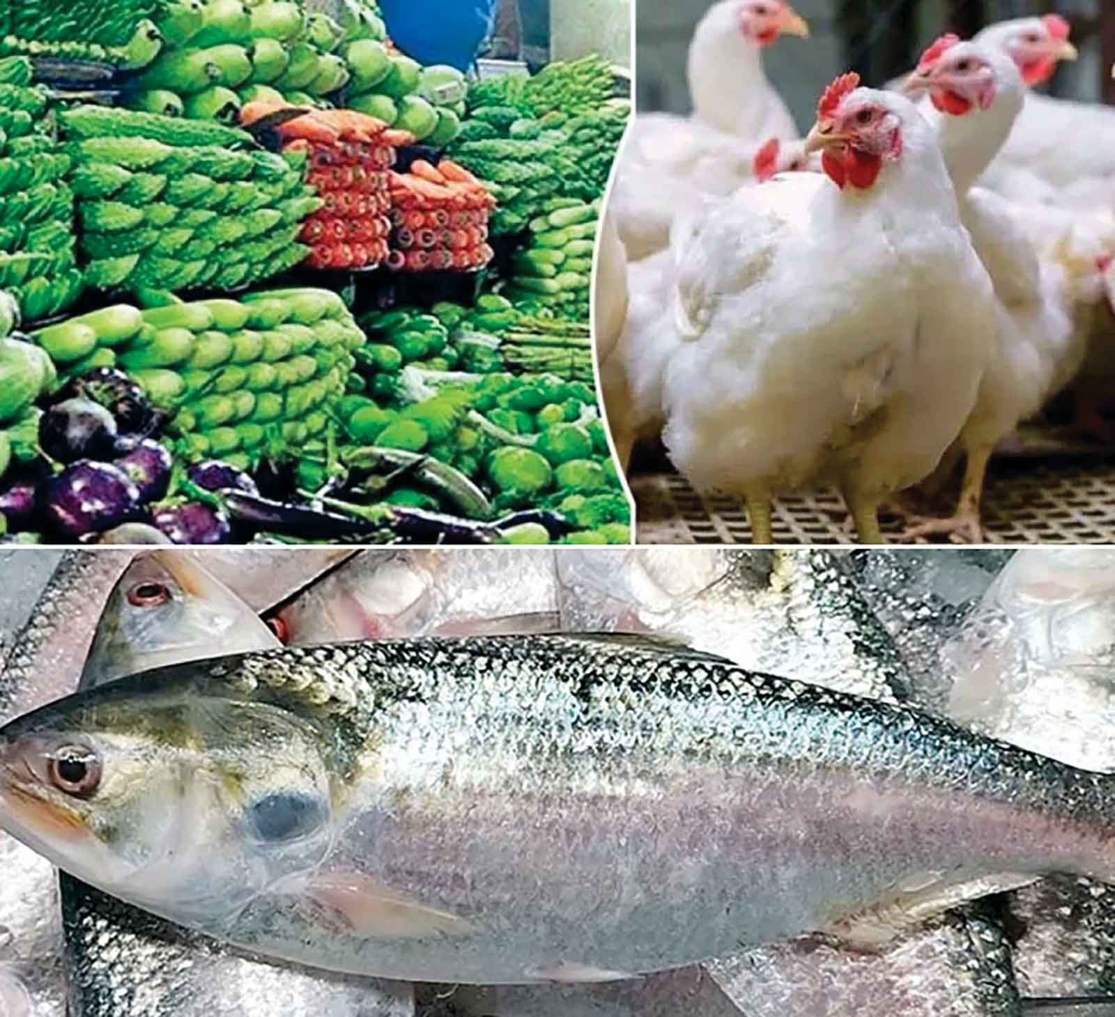 সবজি-মুরগির বাজার চড়া অপরিবর্তিত ইলিশের দাম