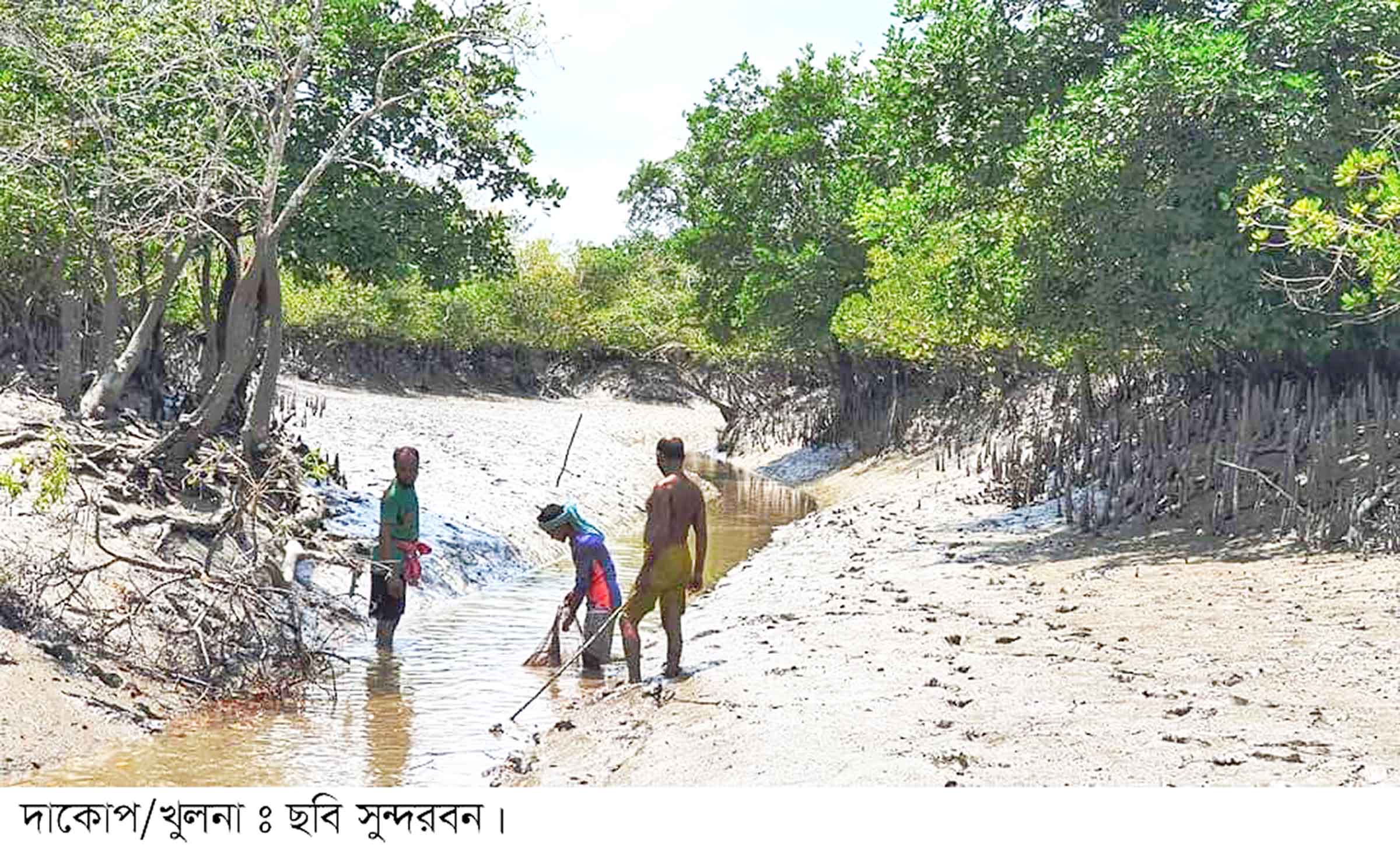 সুন্দরবনে ফের বেপরোয়া বনদসু্য বাহিনী