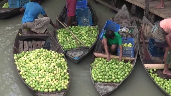 পেয়ারা বাজারে ধস, দর্শনার্থীদের ভিড়  ইকো পার্কে 