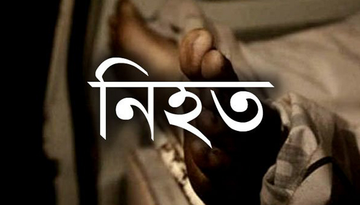 চকরিয়ায় বাস চাপায় প্রবাসী নিহত