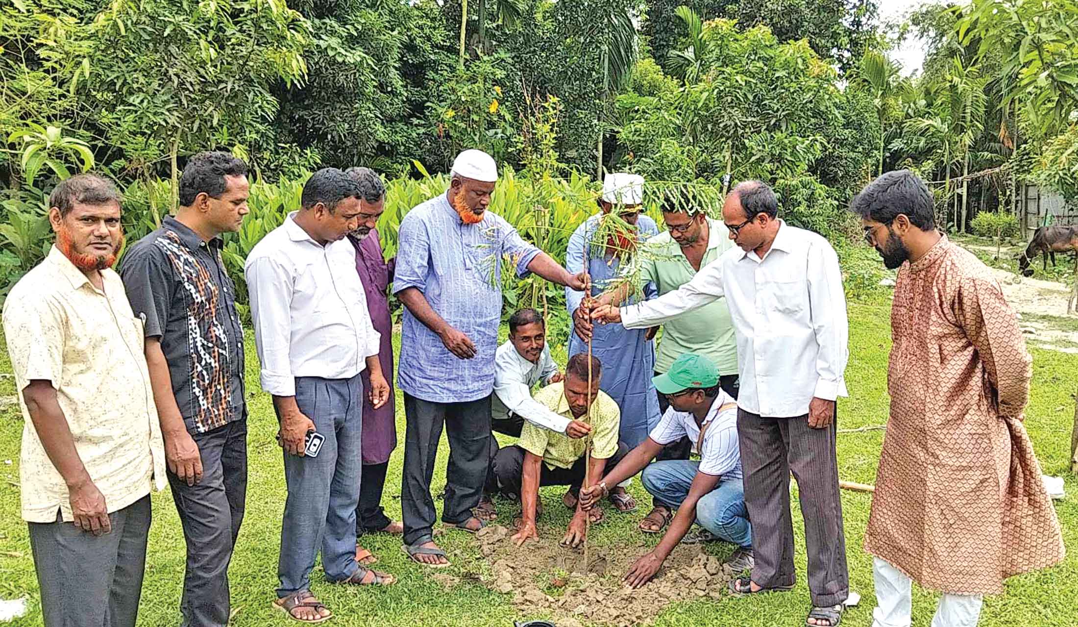প্রকৃতির লাল-সবুজের শোভাবর্ধন