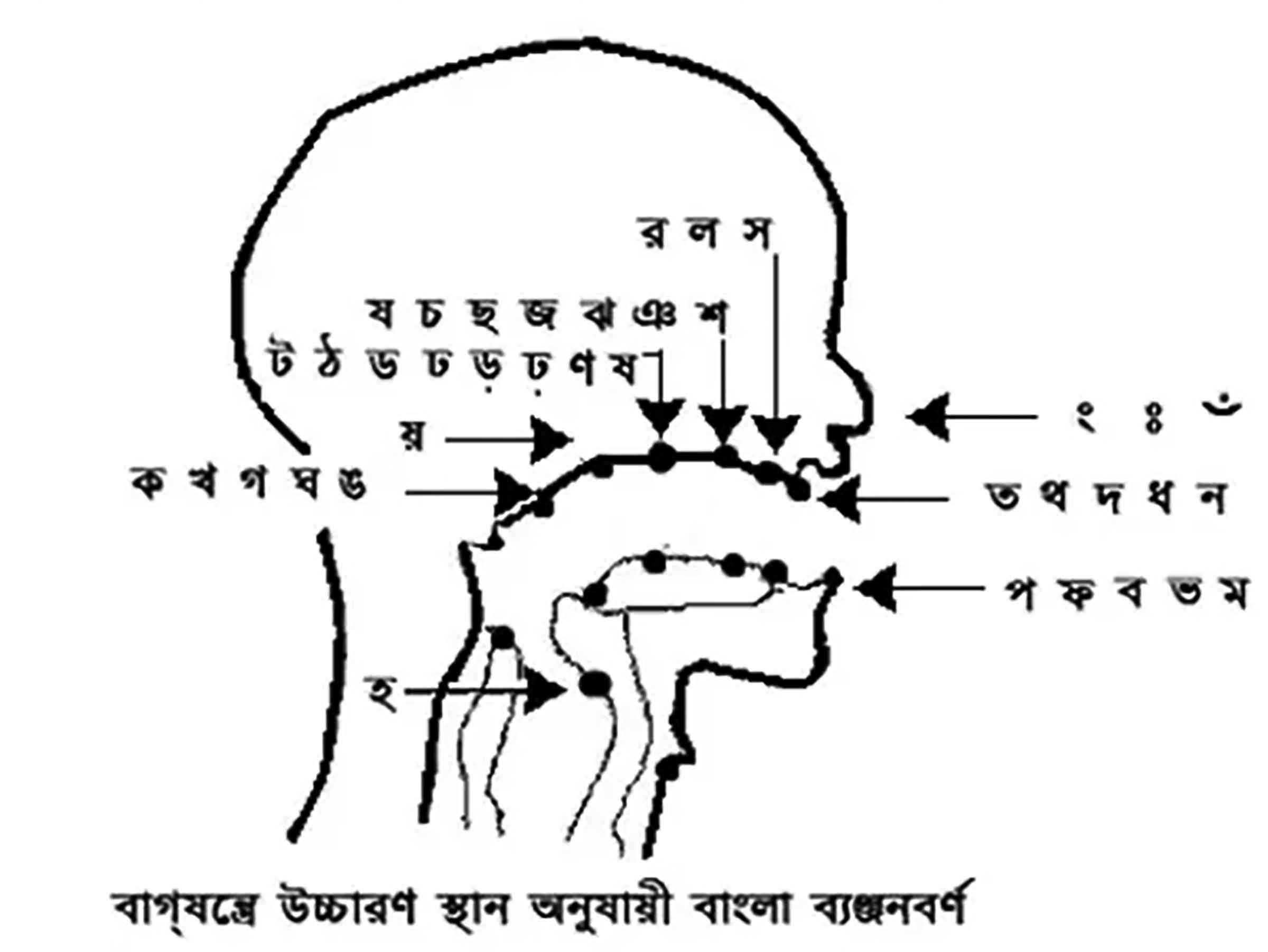 অষ্টম শ্রেণির বাংলা দ্বিতীয় পত্র