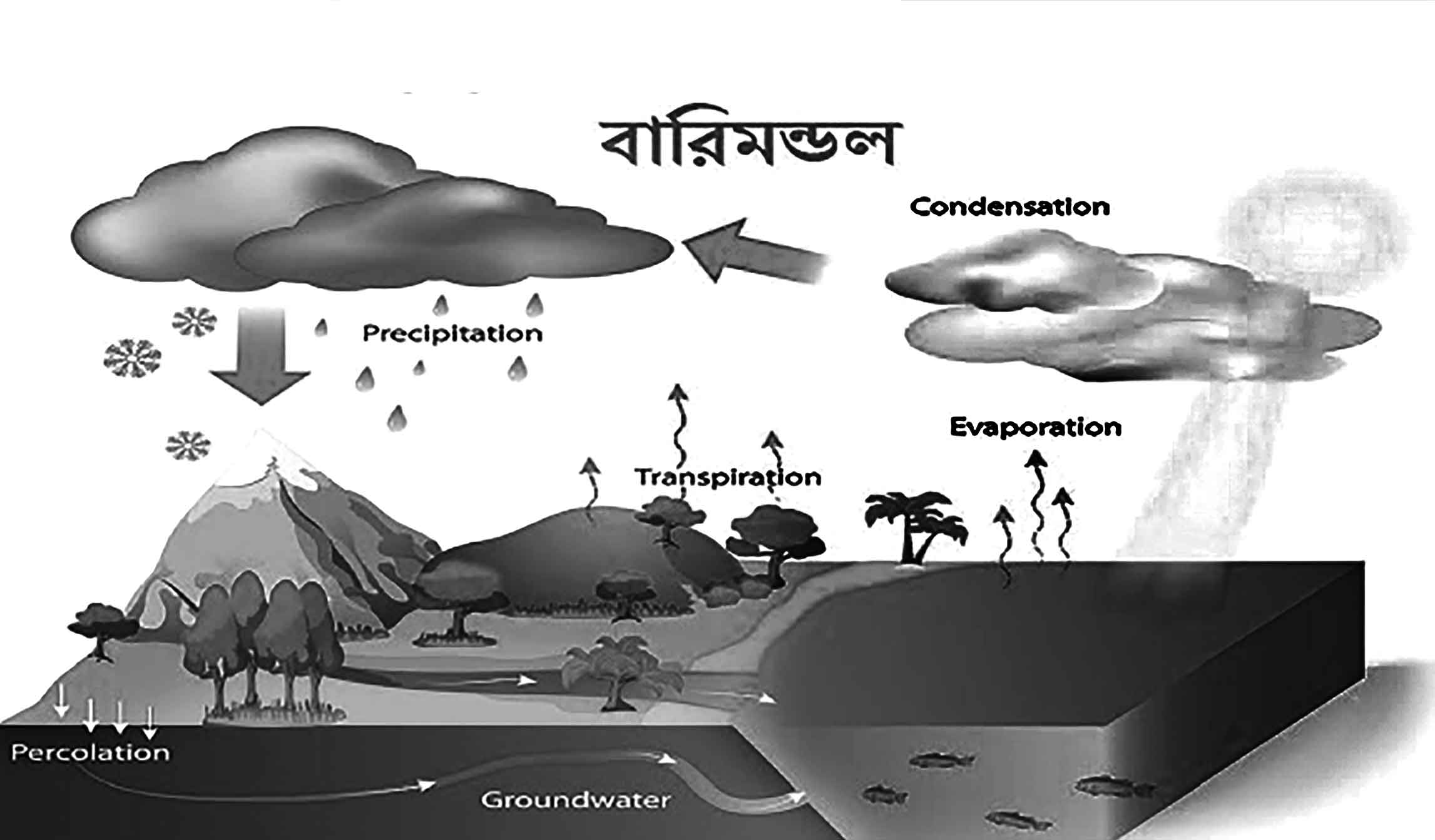 দশম শ্রেণির ভূগোল ও পরিবেশ