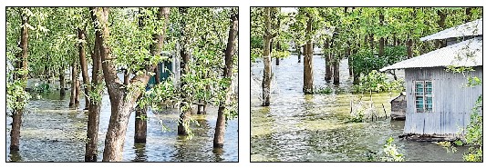মনপুরায় চরাঞ্চলে ৫০ হাজার মানুষের ঝুঁকি নিয়ে বসবাস