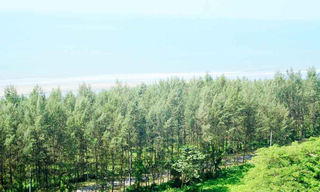 লাবণ্যময়ী সৈকত কক্সবাজার