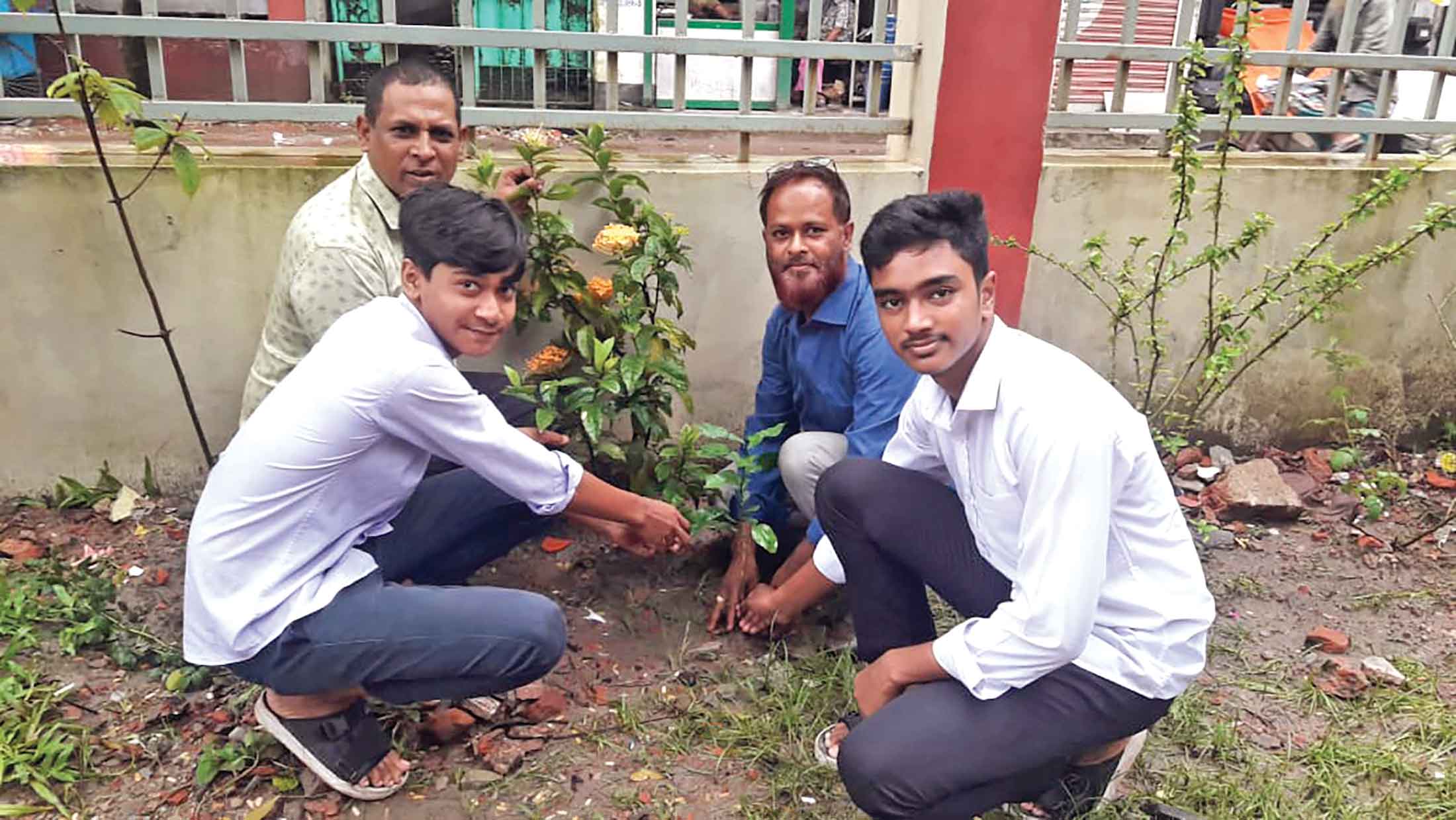 চাঁদপুরে গাছের চারা রোপণ