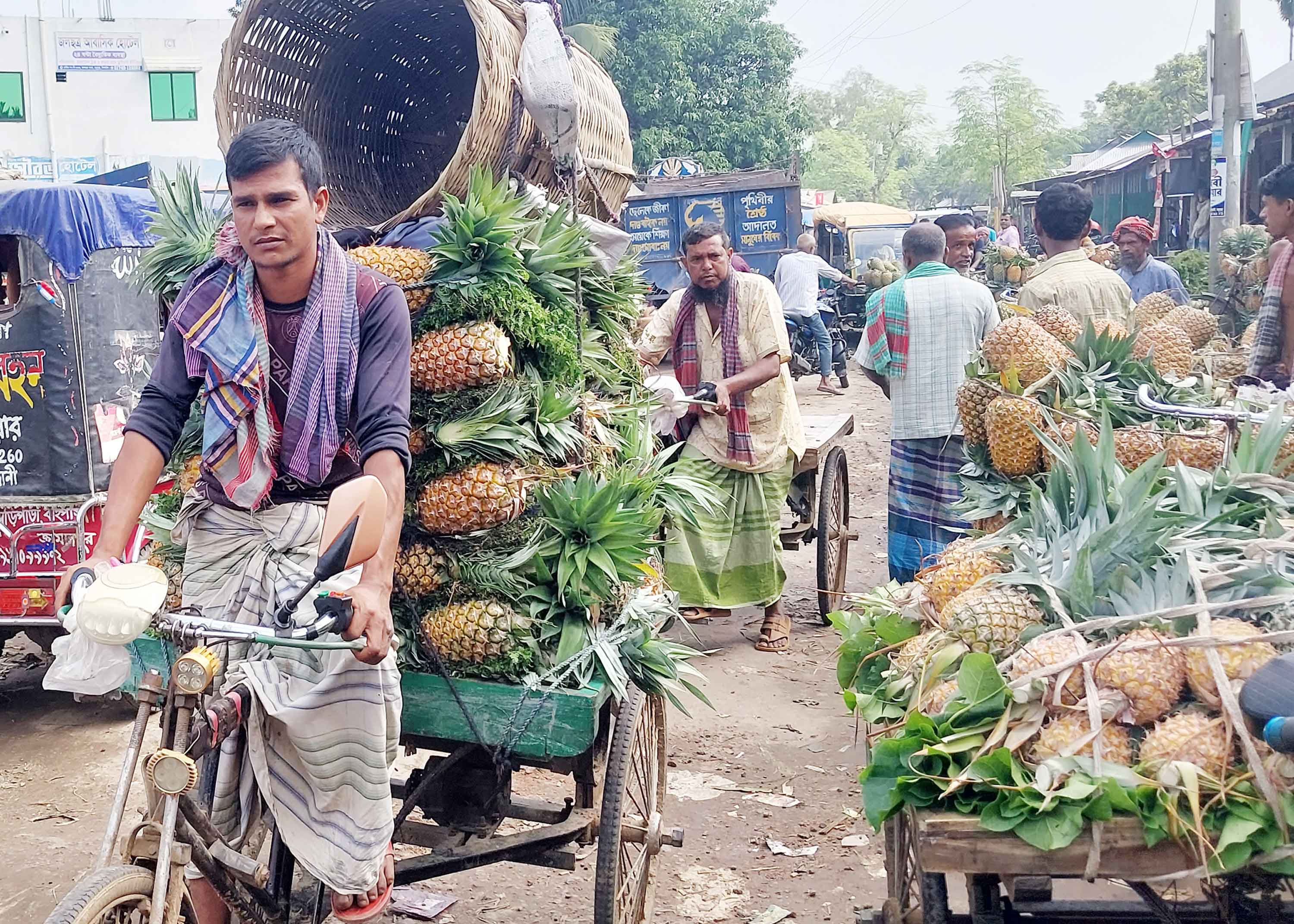 মধুপুরের সুস্বাদু আনারস ৮২ বছর পর জিআই স্বীকৃতি পেয়ে খুশি জেলাবাসী