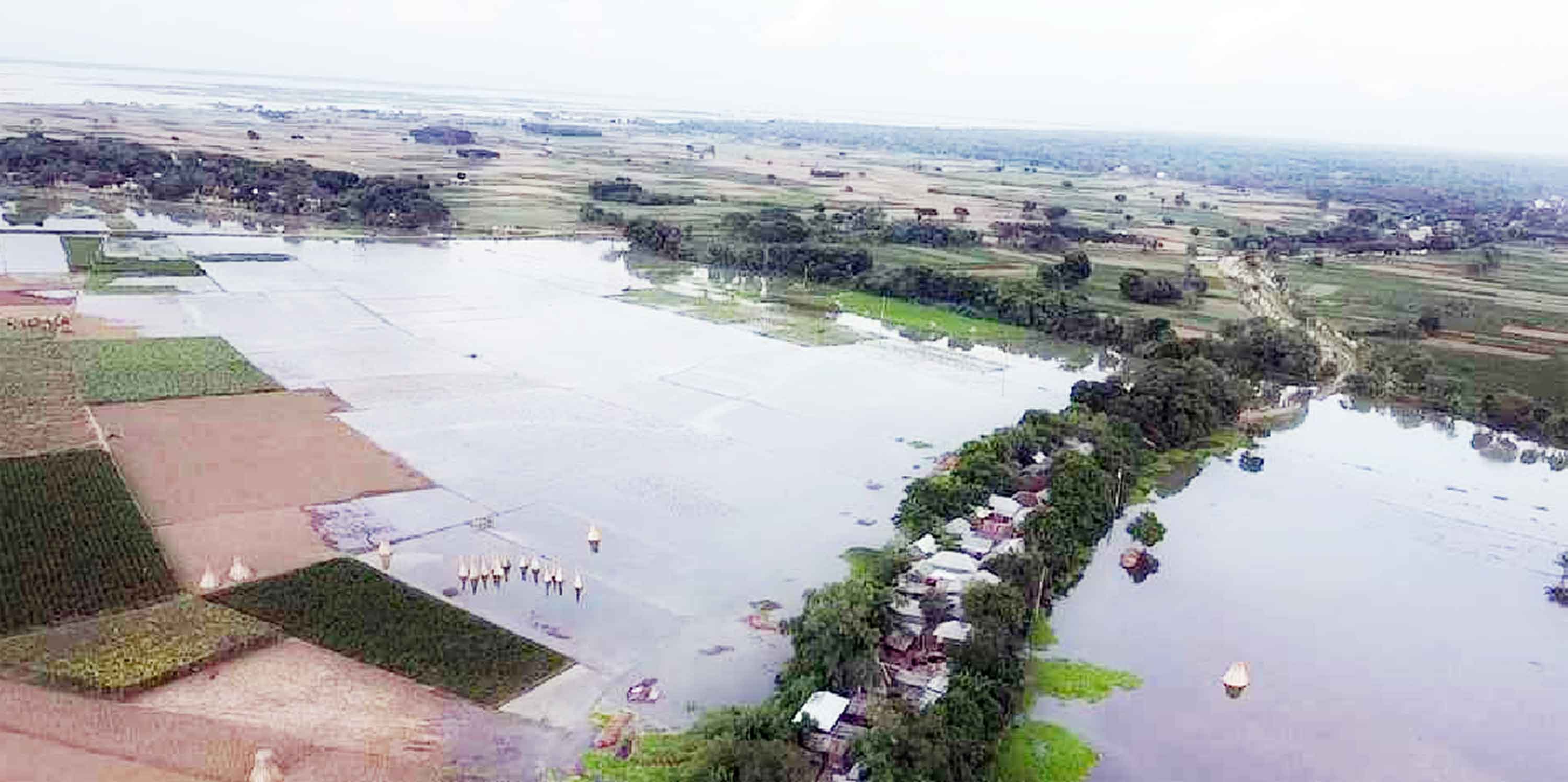 পদ্মায় পানি বৃদ্ধিতে তলিয়ে গেছে ২২শ' হেক্টর জমির ফসল