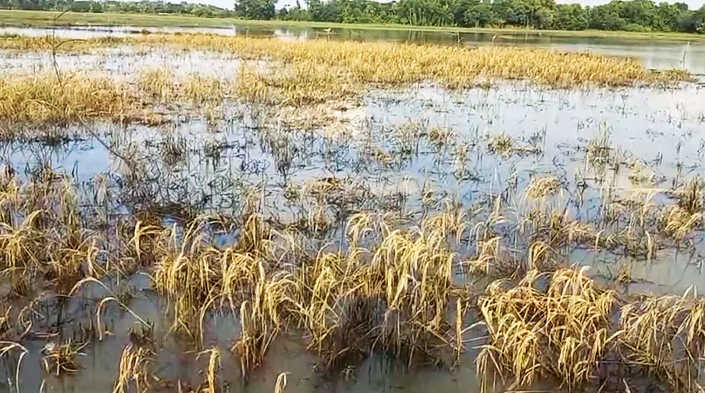 অসময়ের বন্যা, বৃষ্টি,গরমে মানুষের দুর্ভোগ বাড়ছে