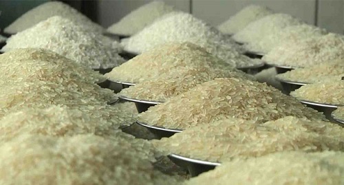 ফের চাল রফতানি শুরু করছে ভারত