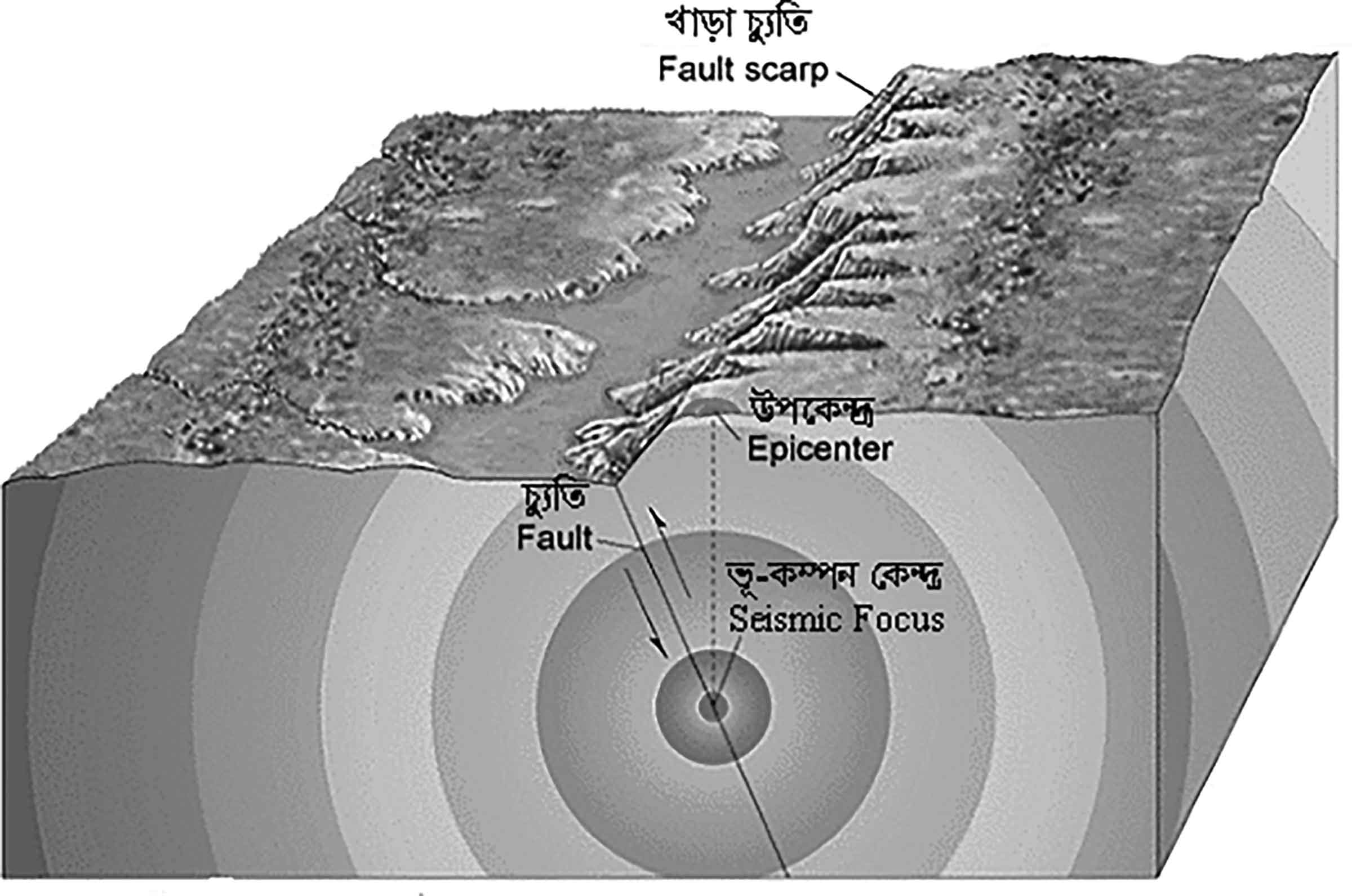 সপ্তম শ্রেণির বিজ্ঞান অনুশীলন