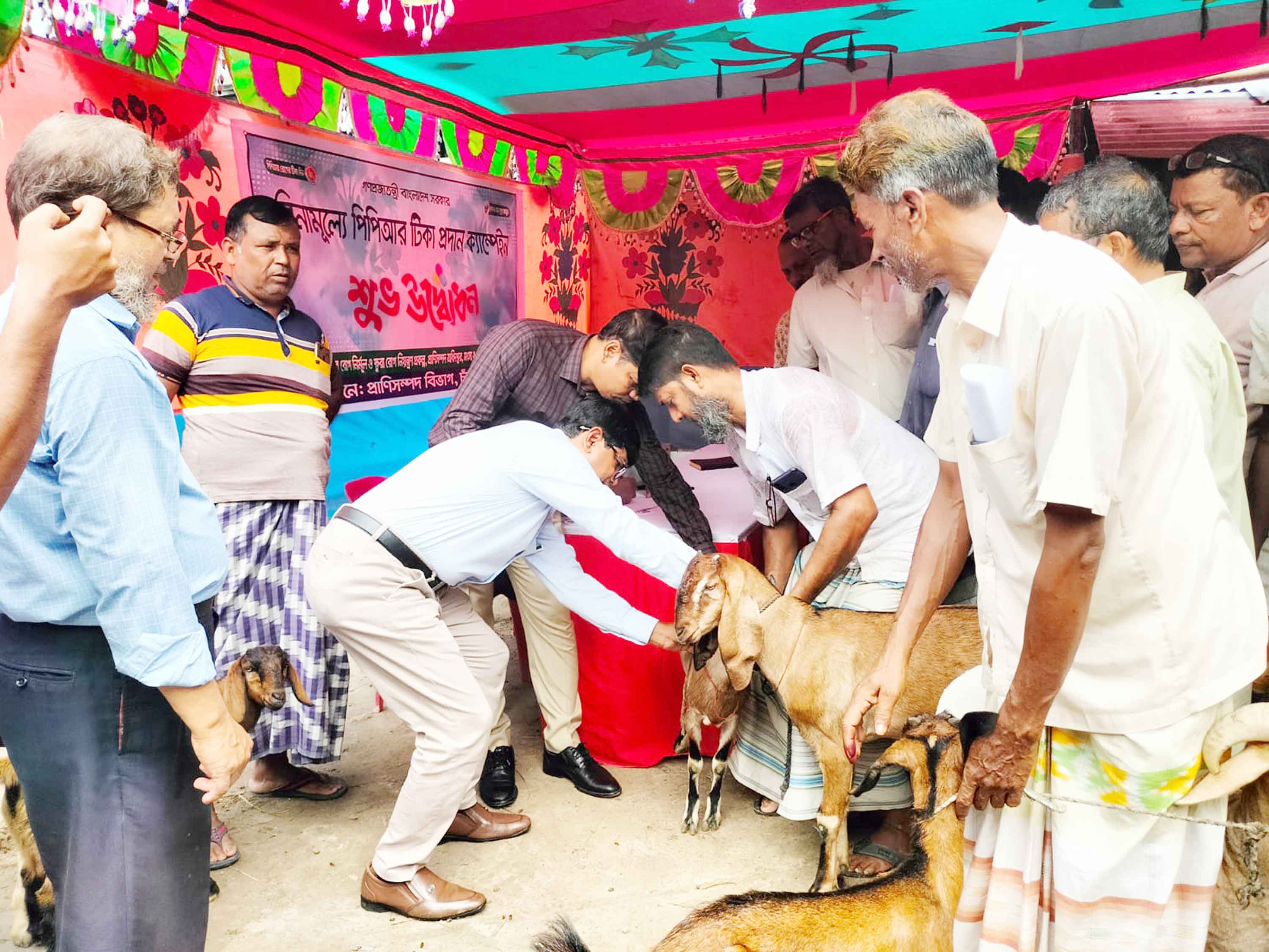 ছাগল ও ভেড়ার পিপিআর রোগের টিকাদান কর্মসূচি উদ্বোধন