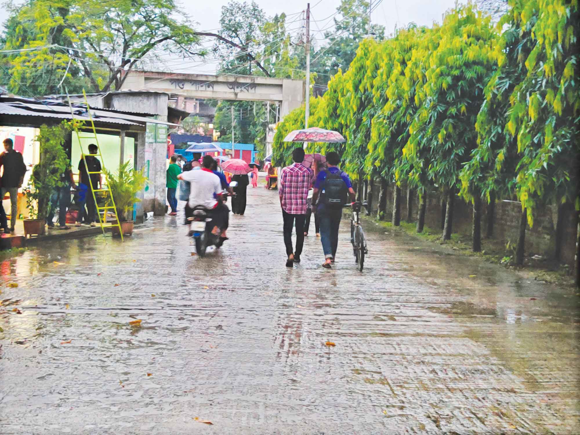 বৃষ্টির সাজে নব রূপে বাকৃবি