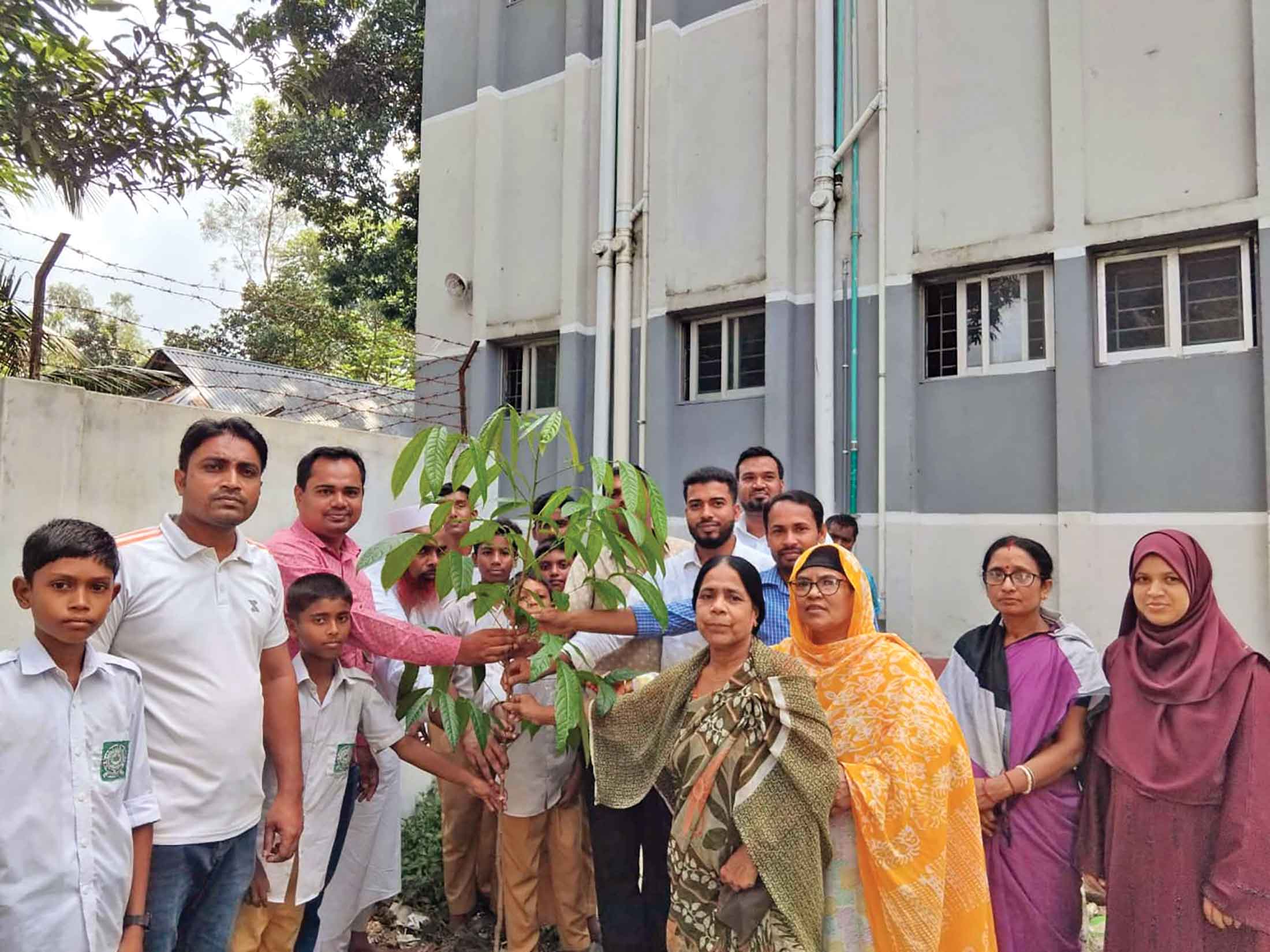 টাঙ্গাইলে চলছে সবুজায়ন কর্মসূচি