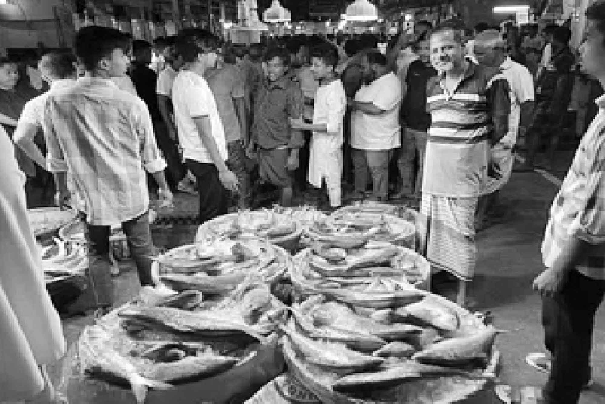 চাঁদপুরে মাইকিং করে ইলিশ বিক্রি