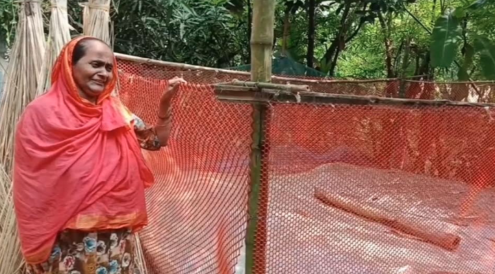গুলিবিদ্ধ বন্ধুদের উদ্ধারে গিয়ে নিহত হয় রাজৈরের শাওন